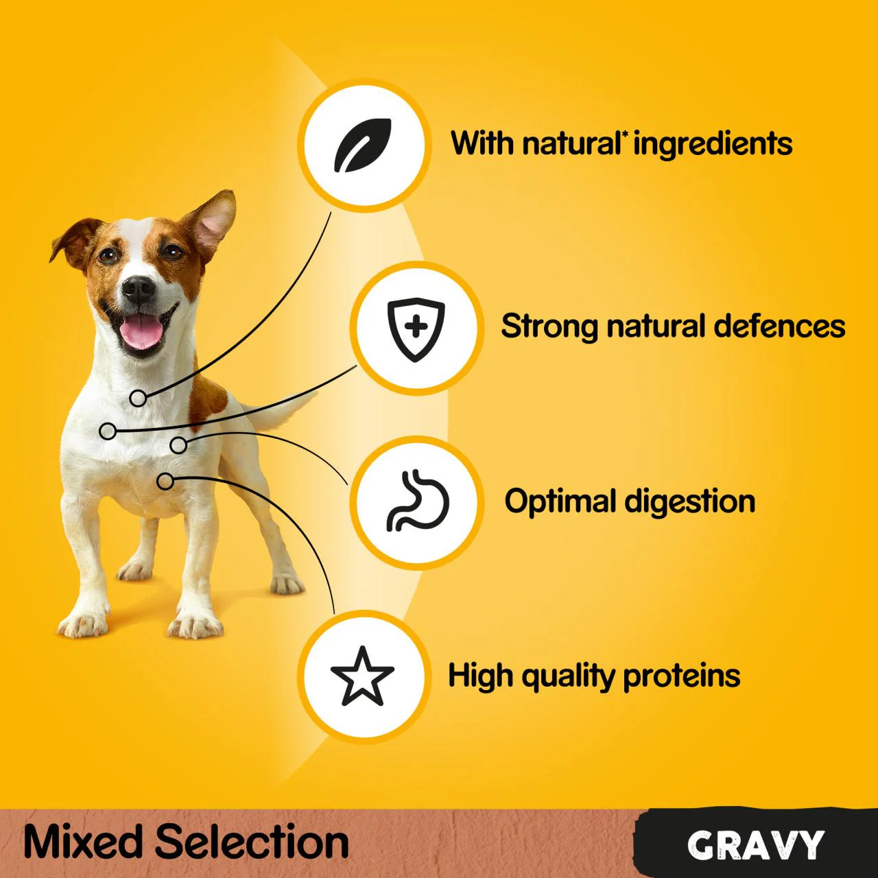 Pedigree Adult Wet Dog Food Pouches Farmers Selection in Gravy - Image 5