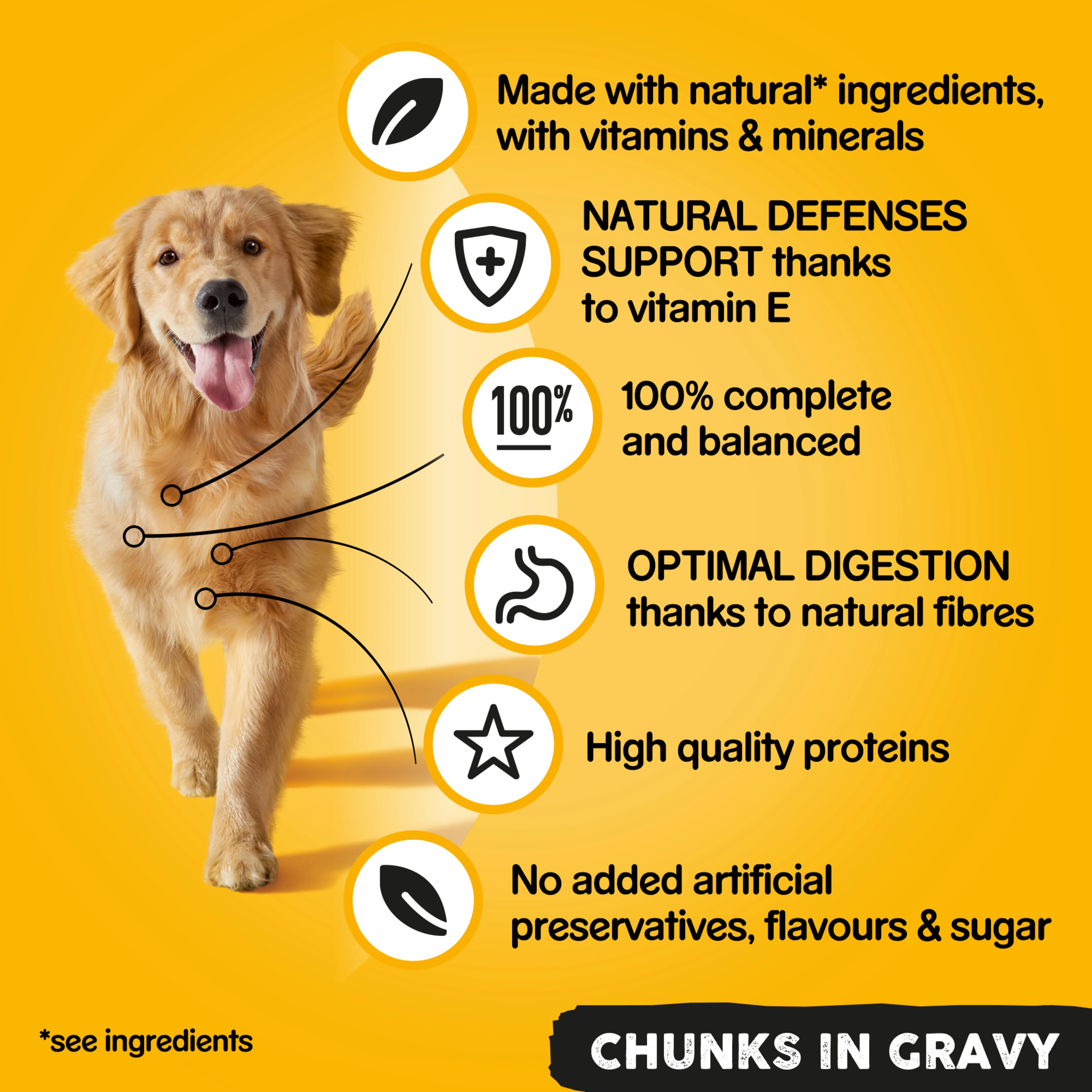 Pedigree Adult Wet Dog Food Tins - Country Casseroles in Gravy - Image 5