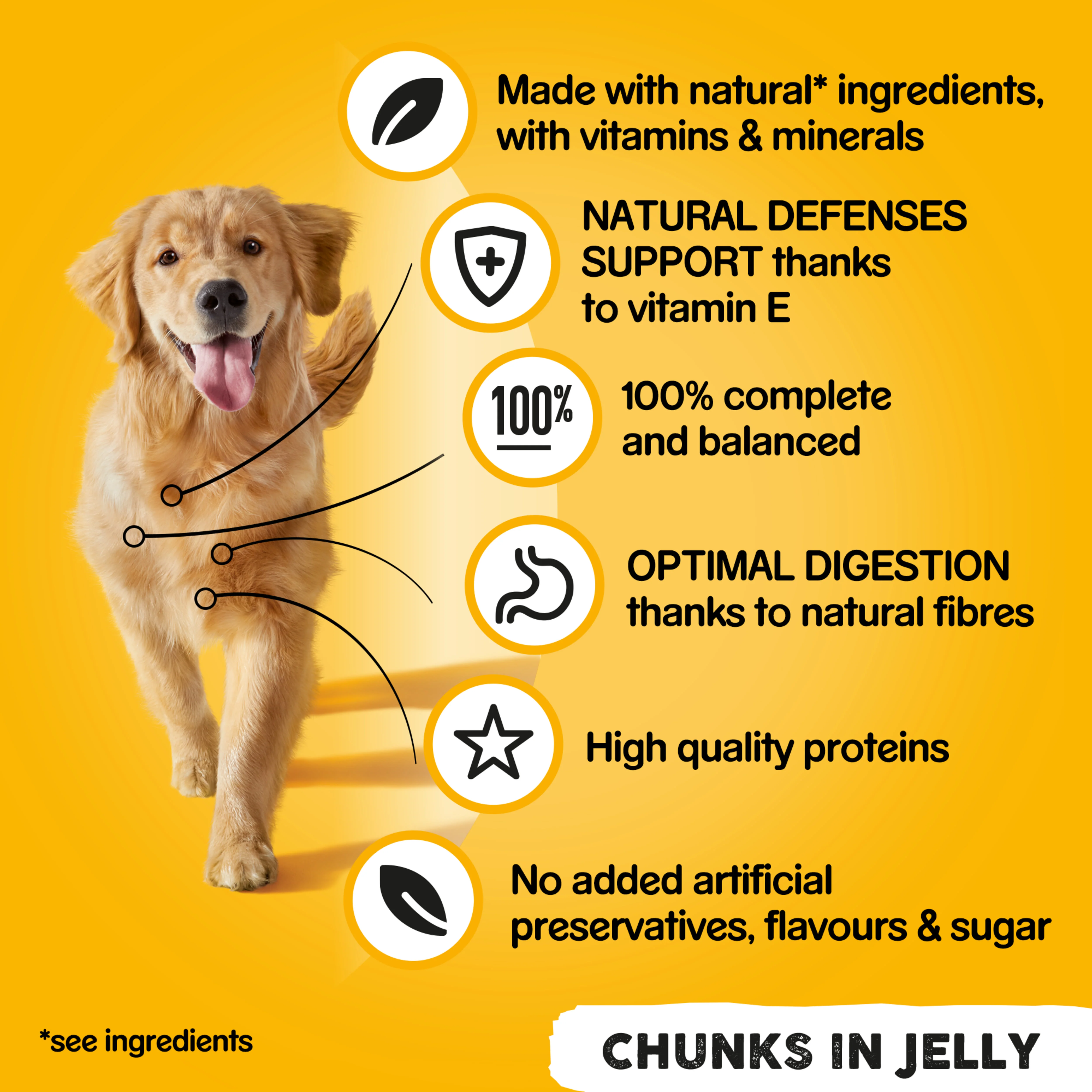 Pedigree Adult Wet Dog Food Tins Mixed in Jelly - Image 5