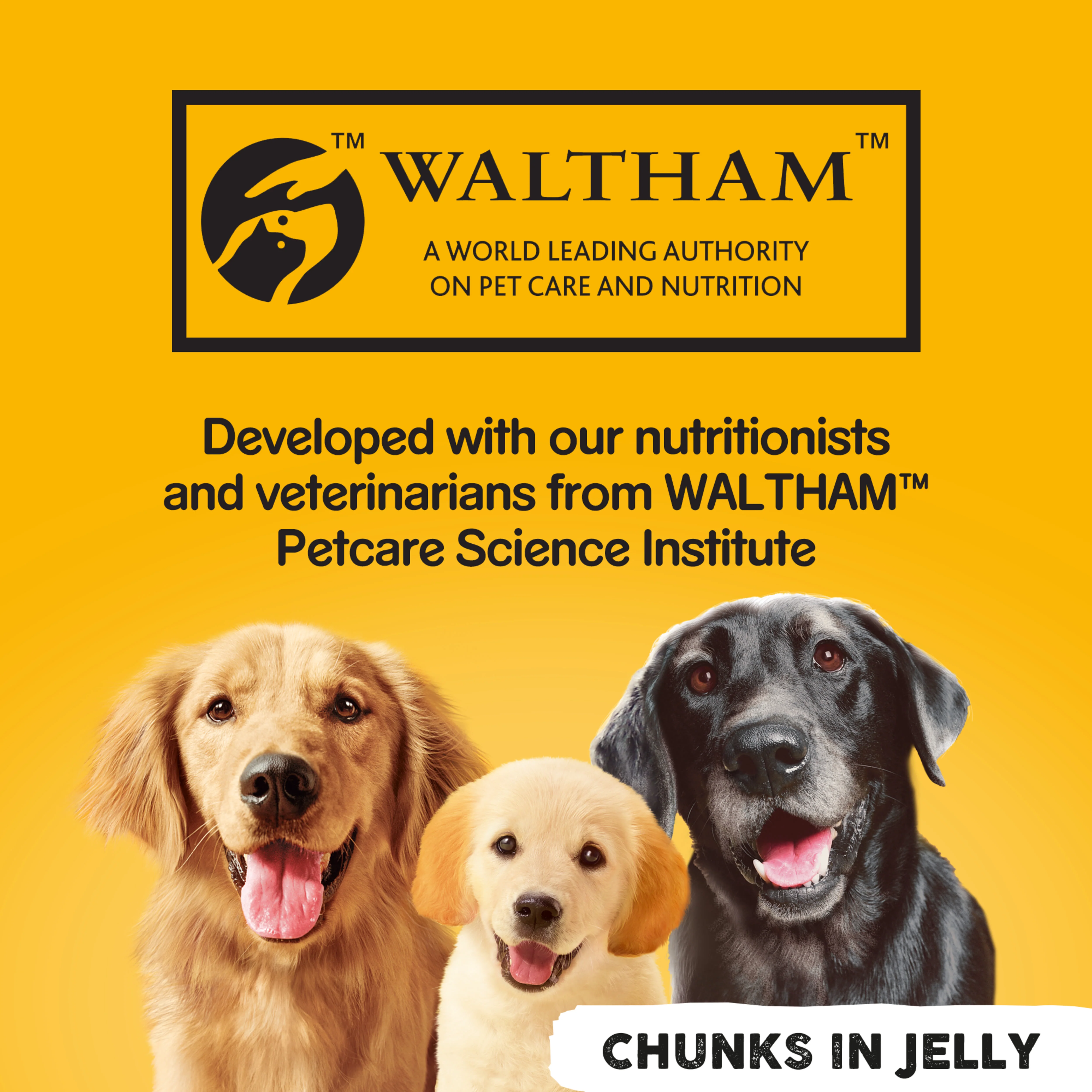 Pedigree Adult Wet Dog Food Tins - Mixed Selection in Jelly 24 x 385g - Image 10