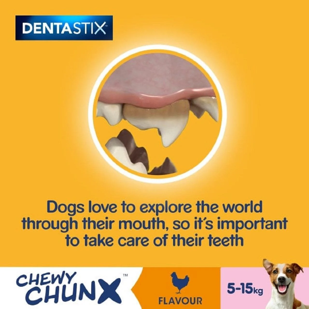 Pedigree Dentastix Chewy Chunx Mini Adult Small Dog Treats Chicken - Image 10