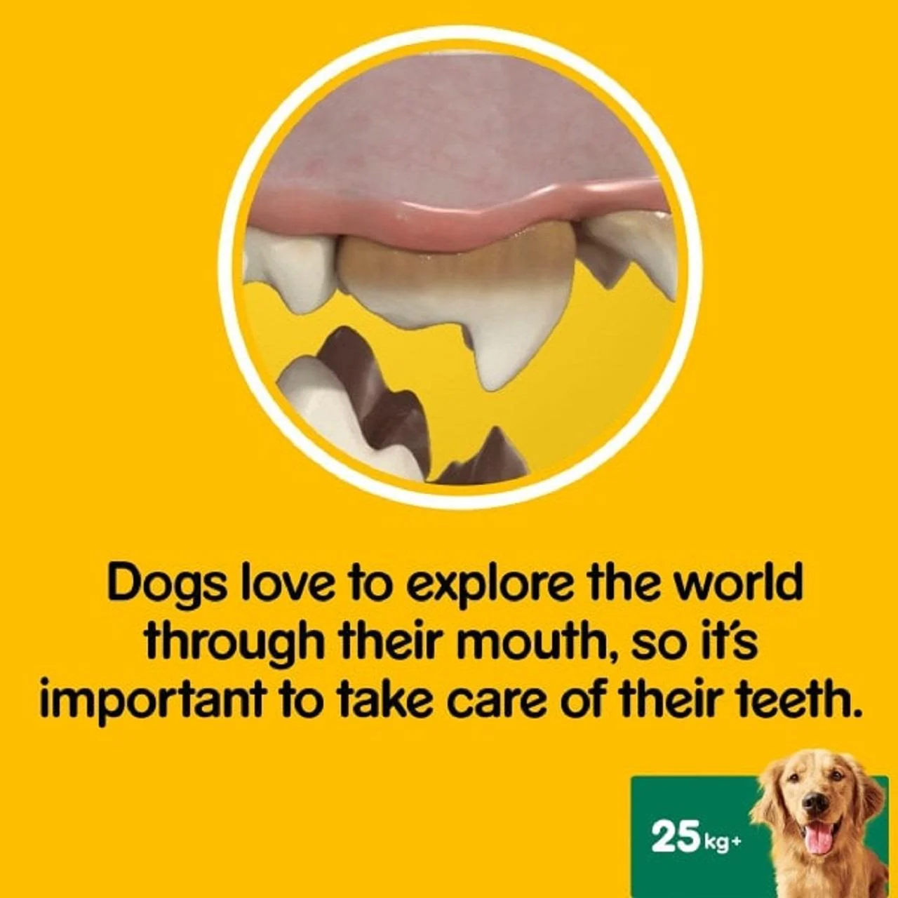 Pedigree Dentastix Daily Adult Large Dog Treats 105 x Dental Sticks - Image 8
