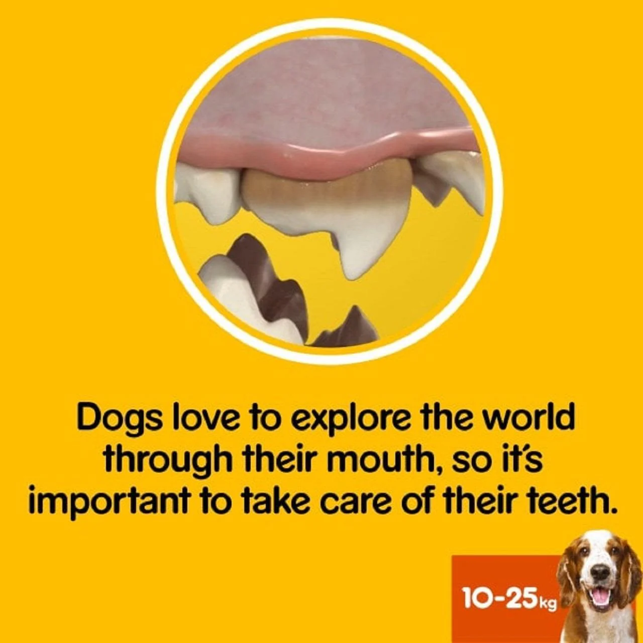 Pedigree Dentastix Daily Adult Small Dog Treats - Image 12