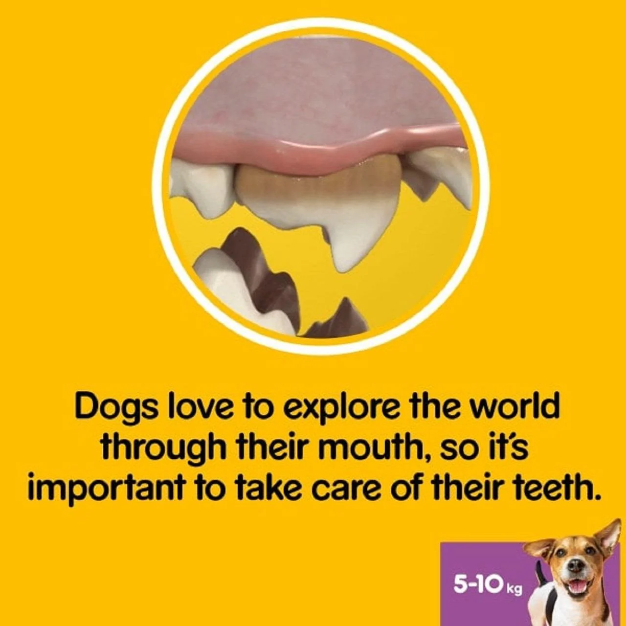 Pedigree Dentastix Daily Adult Small Dog Treats - Image 8