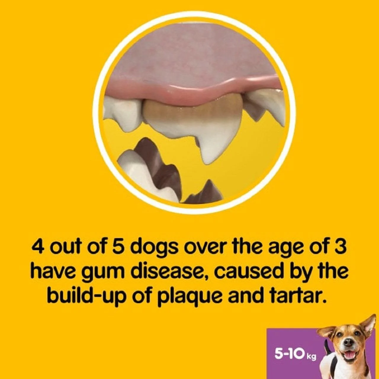 Pedigree Dentastix Fresh Adult Small Dog Treats - Image 5