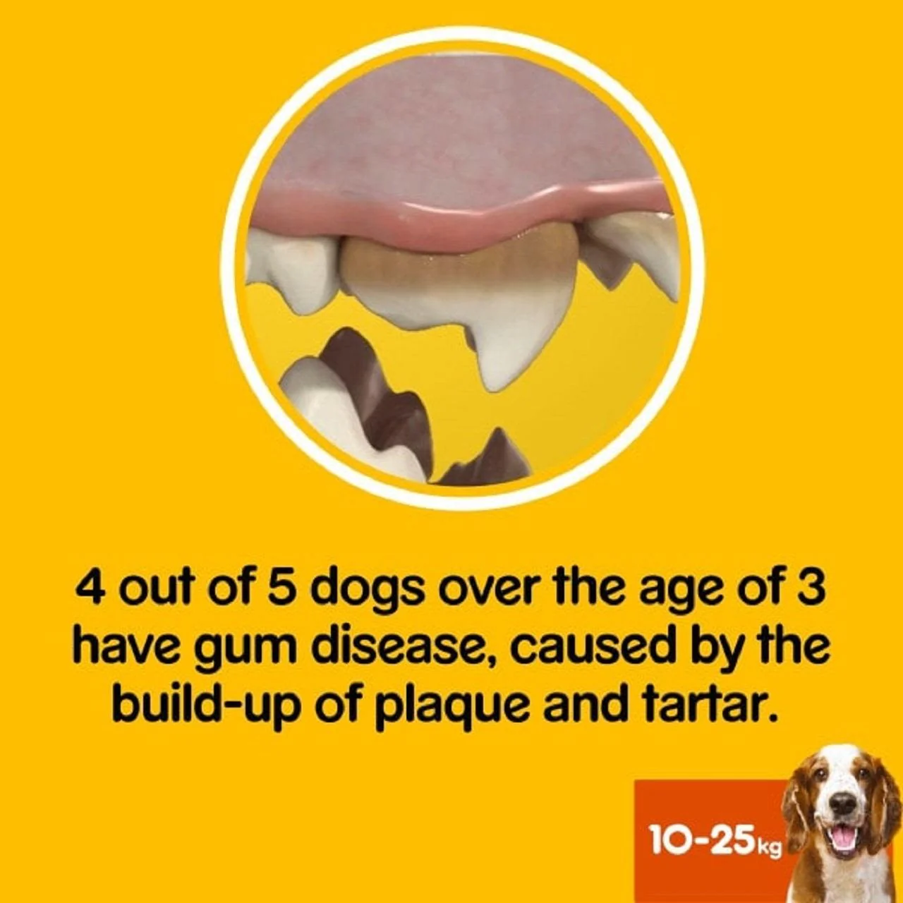 Pedigree Dentastix Fresh Daily Adult Medium Dog Dental Treats - Image 7