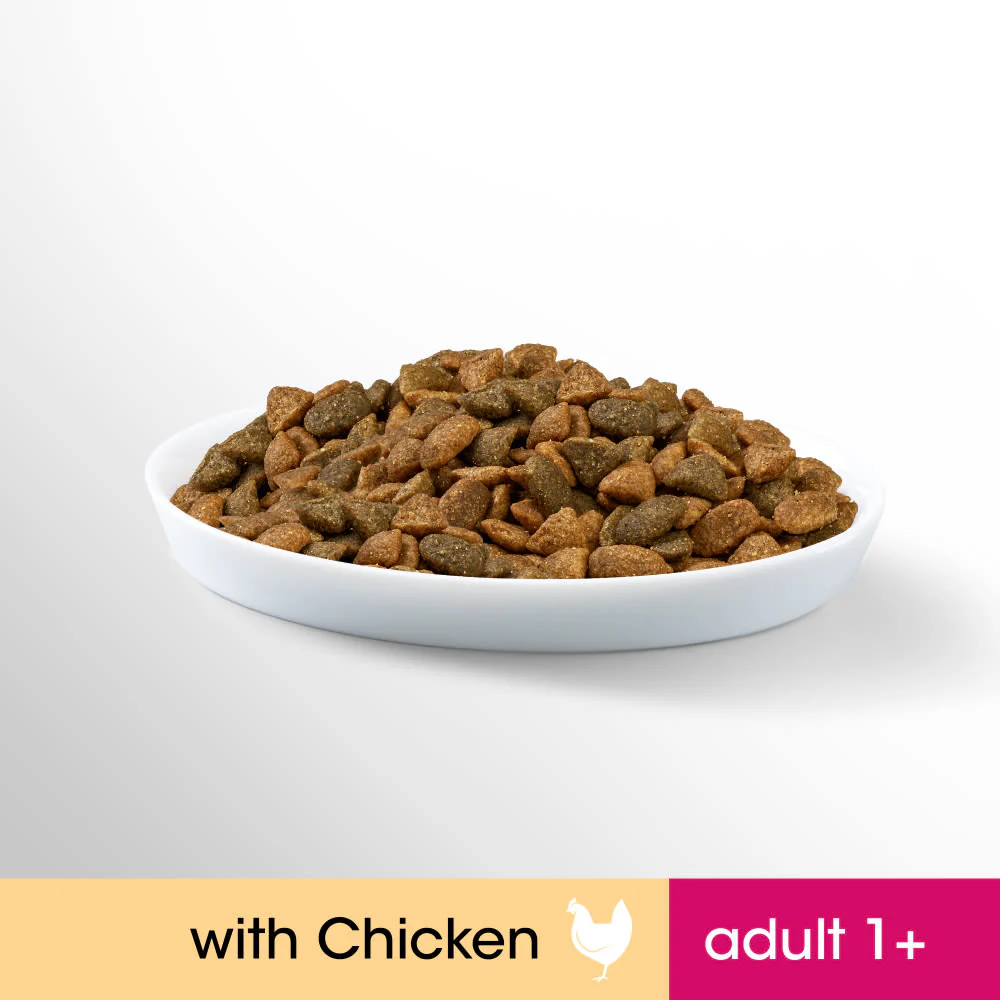 Perfect Fit Adult 1+ Complete Dry Cat Food - Chicken - Image 4