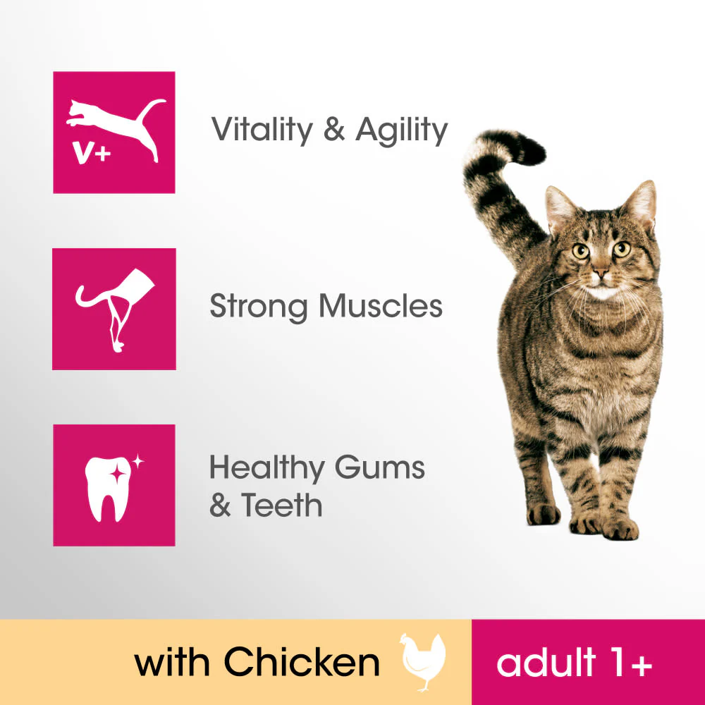 Perfect Fit Adult 1+ Complete Dry Cat Food - Chicken - Image 6