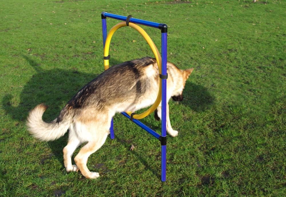 Pet Brands Agility Hoop Jump for Dogs - Image 2