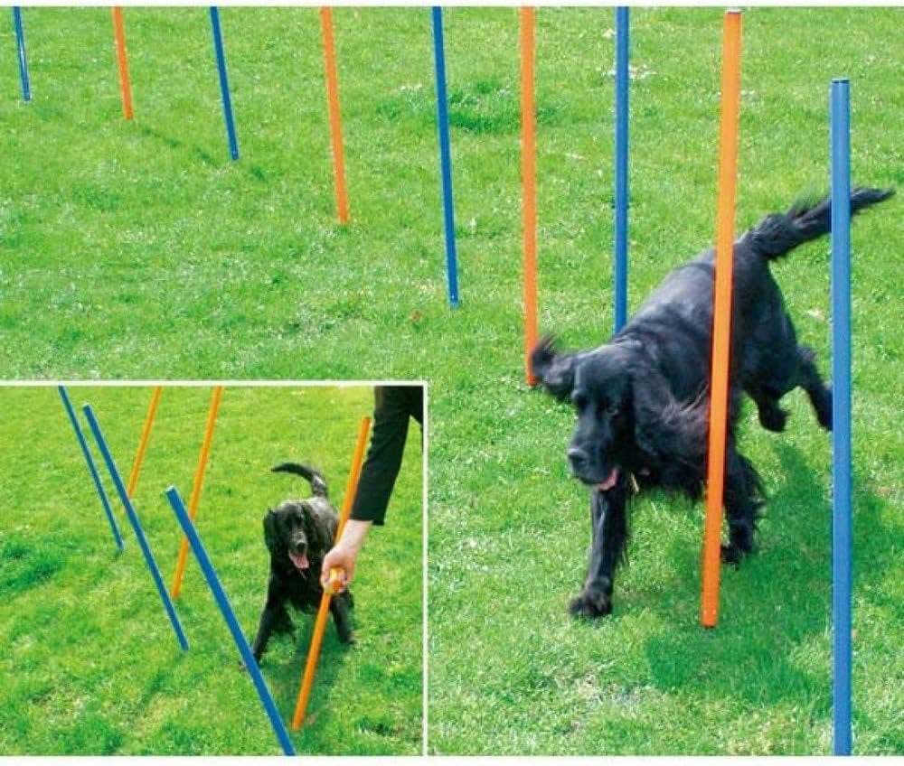 Pet Brands Agility Slalom Poles for Dogs - Image 2