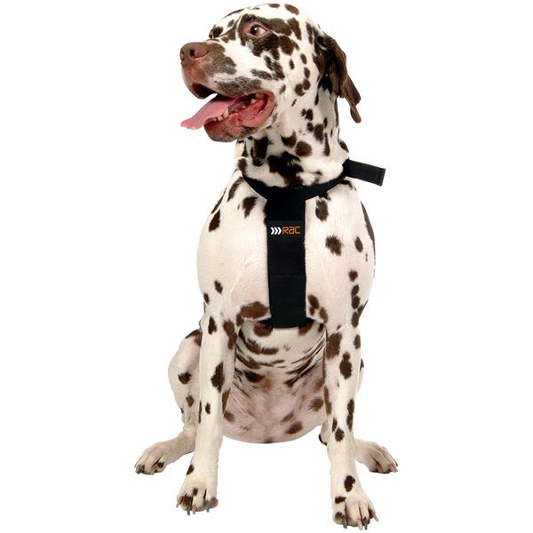 Rac 2 in 1 Car Dog Harness - Image 4