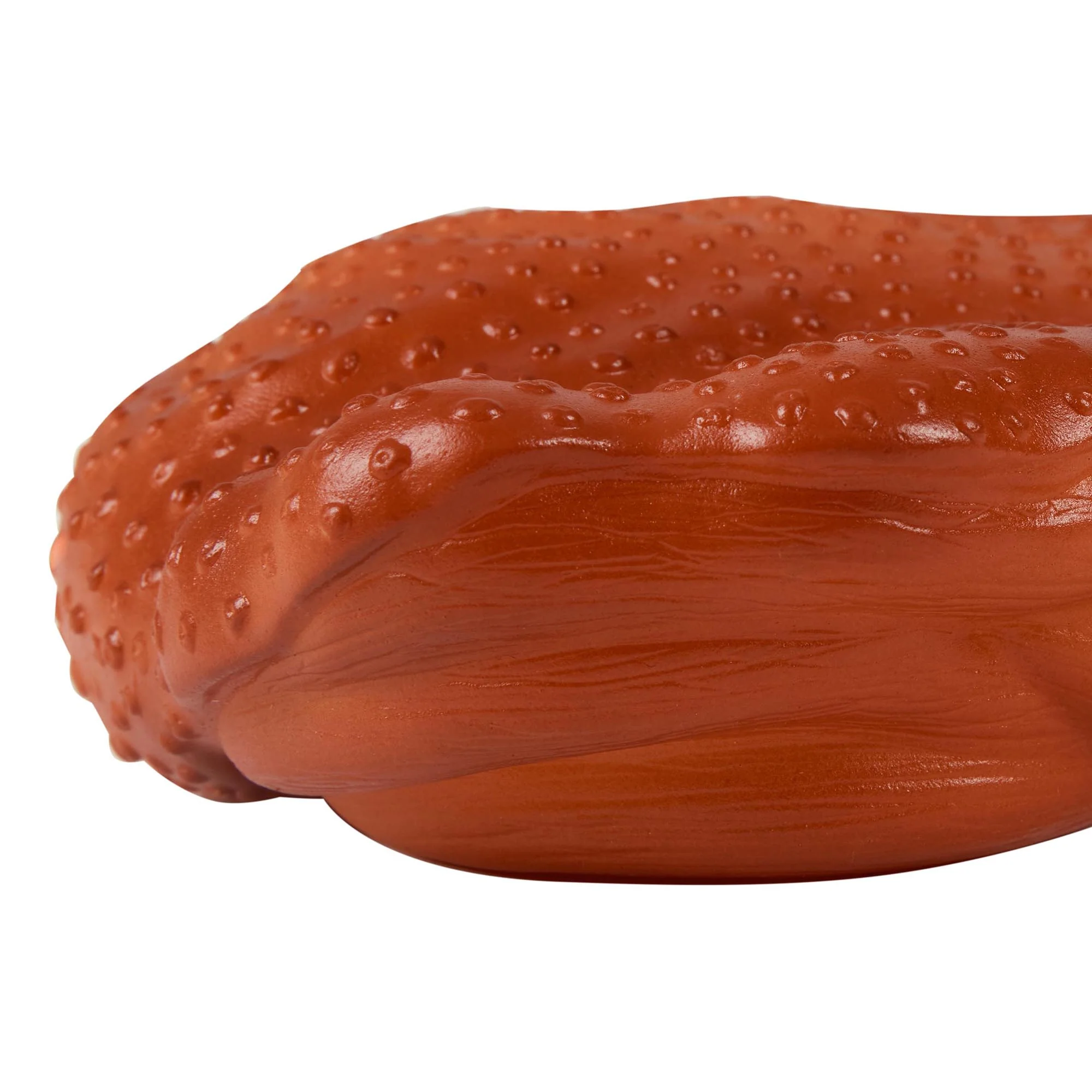 Pet Brands Turkey Leg Squeaky Vinyl Dog Toy - Image 2