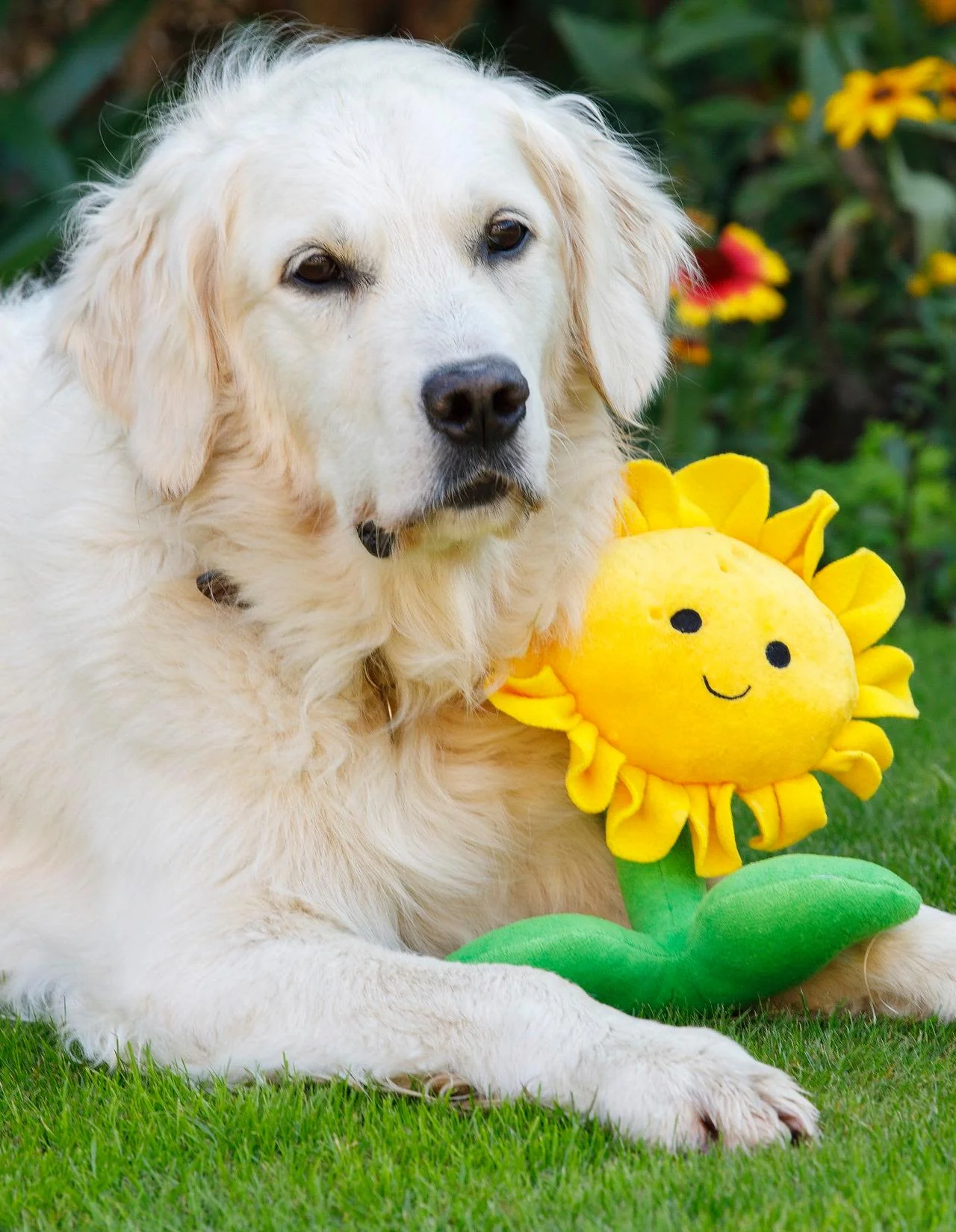 Petface Buddies Sunflower Dog Toy - Image 3