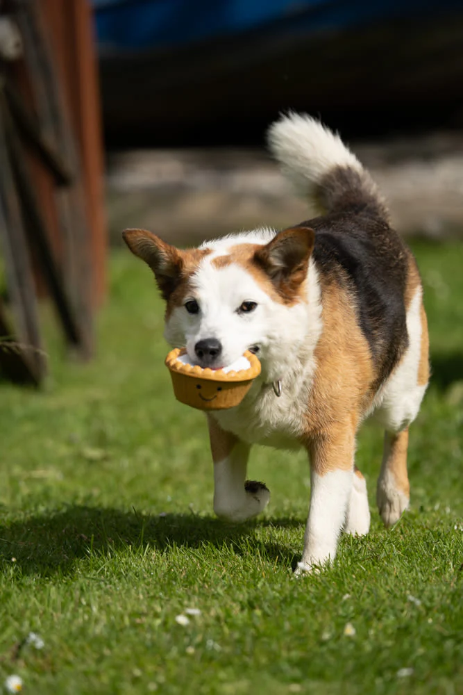 Petface Cherry Bakewell Latex Brown & White Dog Toy - Image 6