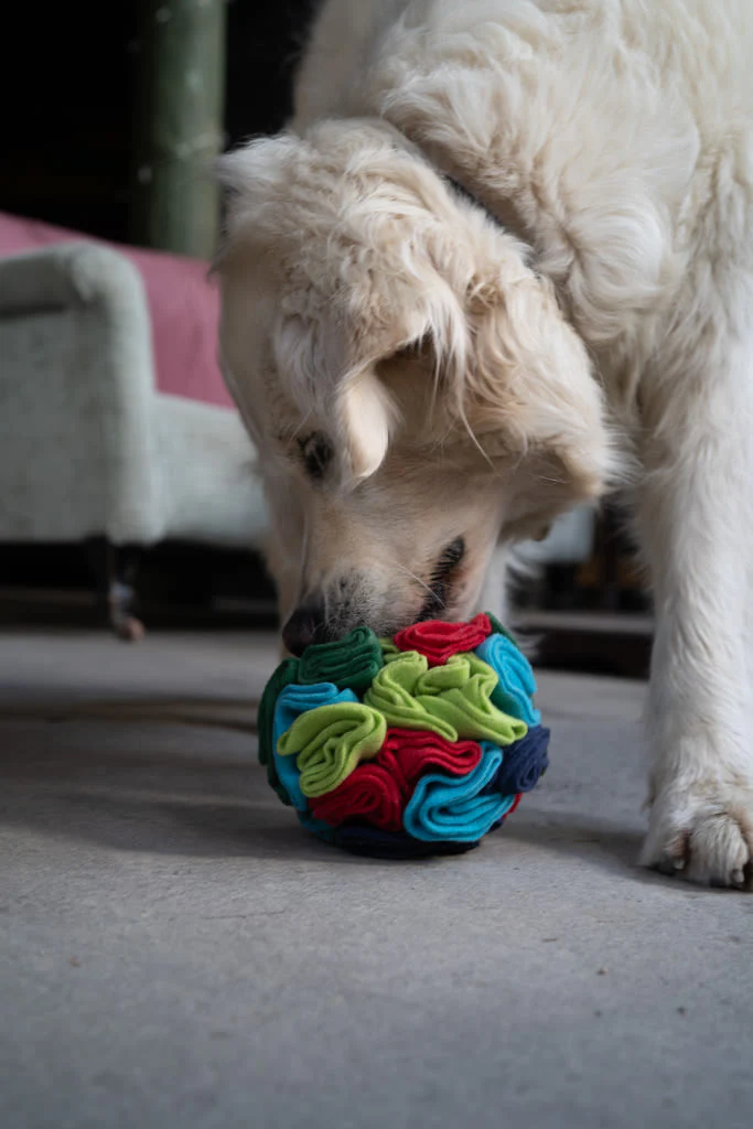 Petface Fabric Snuffle Ball Pet Treat Puzzle Toy - Image 6