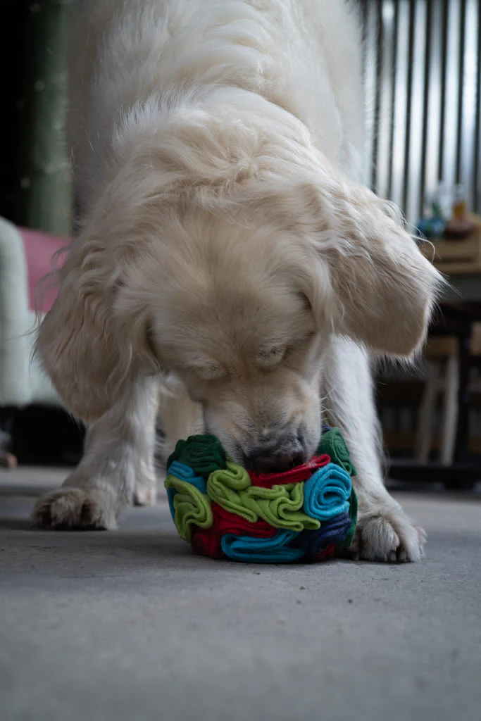 Petface Fabric Snuffle Ball Pet Treat Puzzle Toy - Image 7