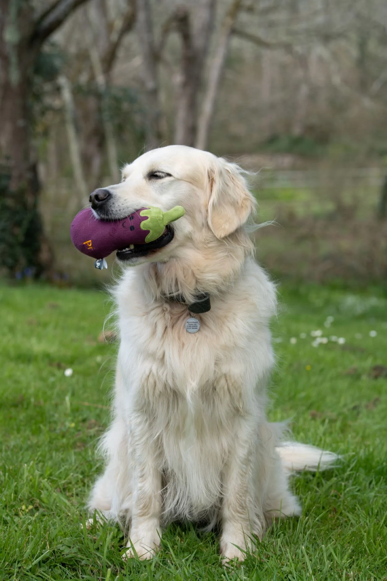 Petface Greenfingers Fluffy Aubri Aubergine Purple Plush Dog Toy - Image 7