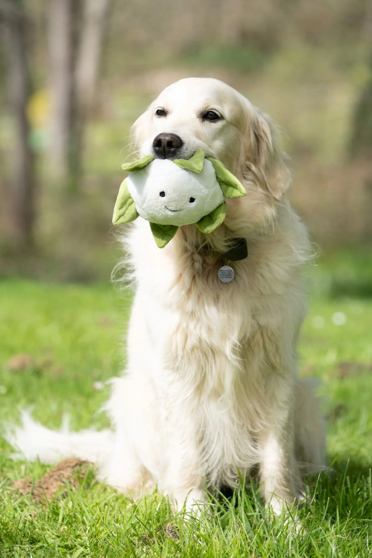 Petface Greenfingers Fluffy Callie Cauliflower White & Green Plush Dog Toy - Image 5