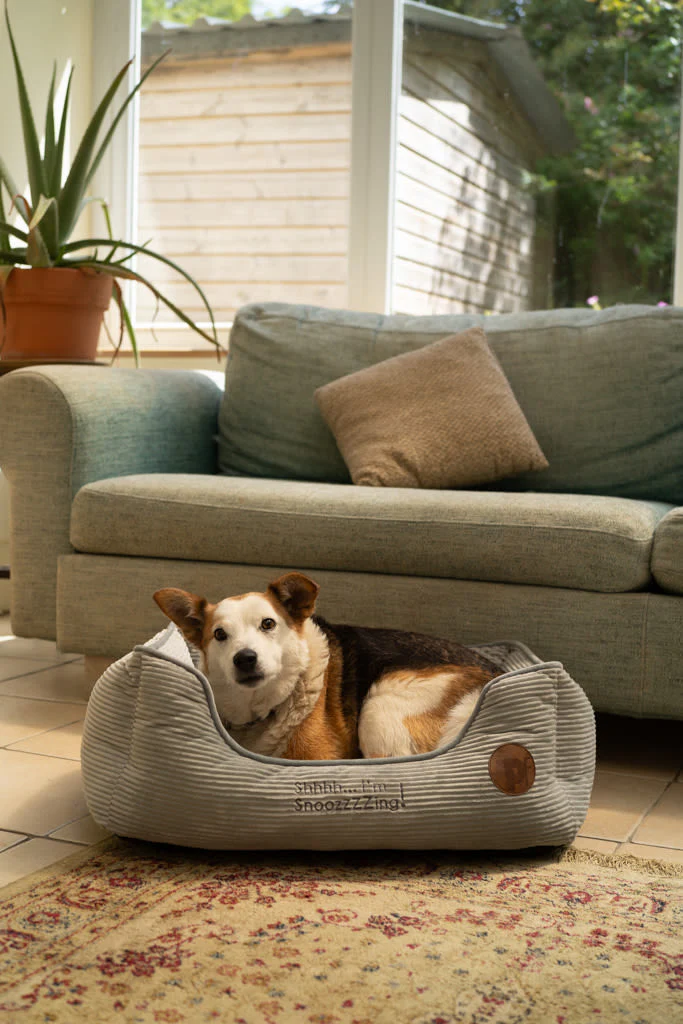 Petface Grey Cord Square Dog & Cat Bed - Image 10
