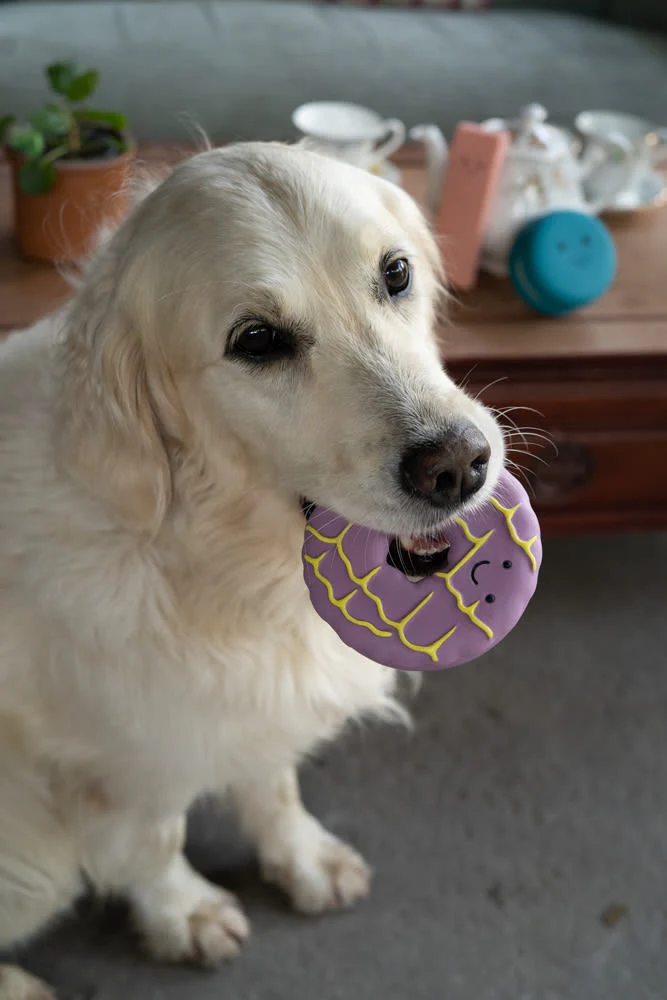 Petface Iced Ring Biscuit Latex Violet Dog Toy - Image 6