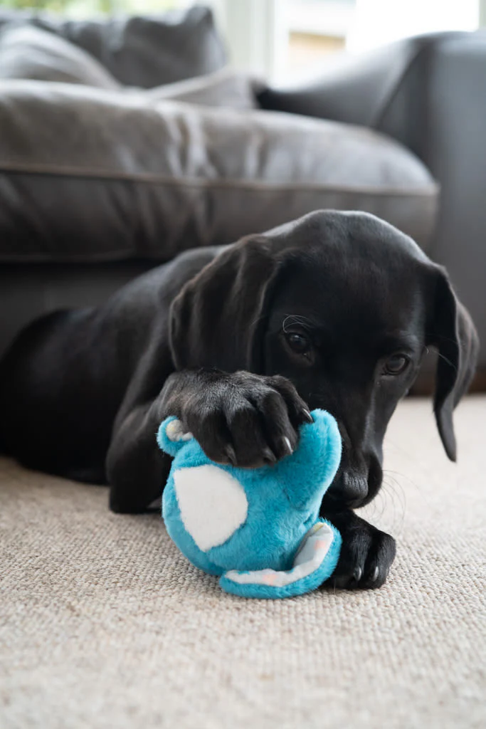 Petface Little Esmee Elephant Blue Ball Plush Small Dog Toy - Image 7