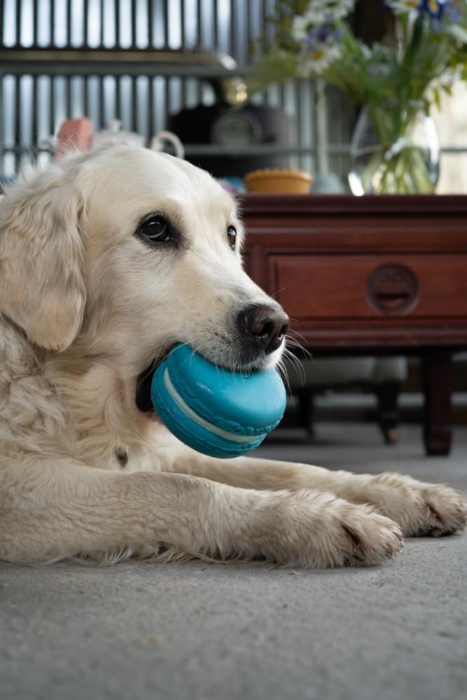 Petface Macaron Latex Blue Dog Toy - Image 5