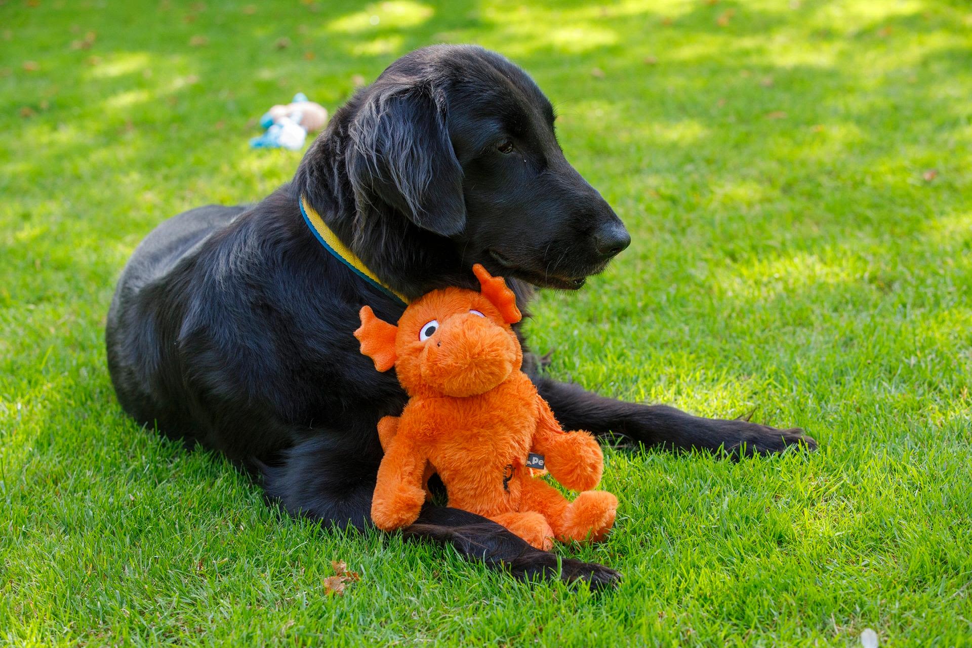 Petface Mighty Dragon Dog Toy - Image 3