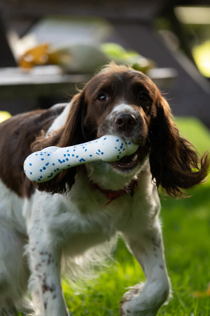Petface Outdoor Paws Mighty White & Blue Bone Dog Toy - Image 6