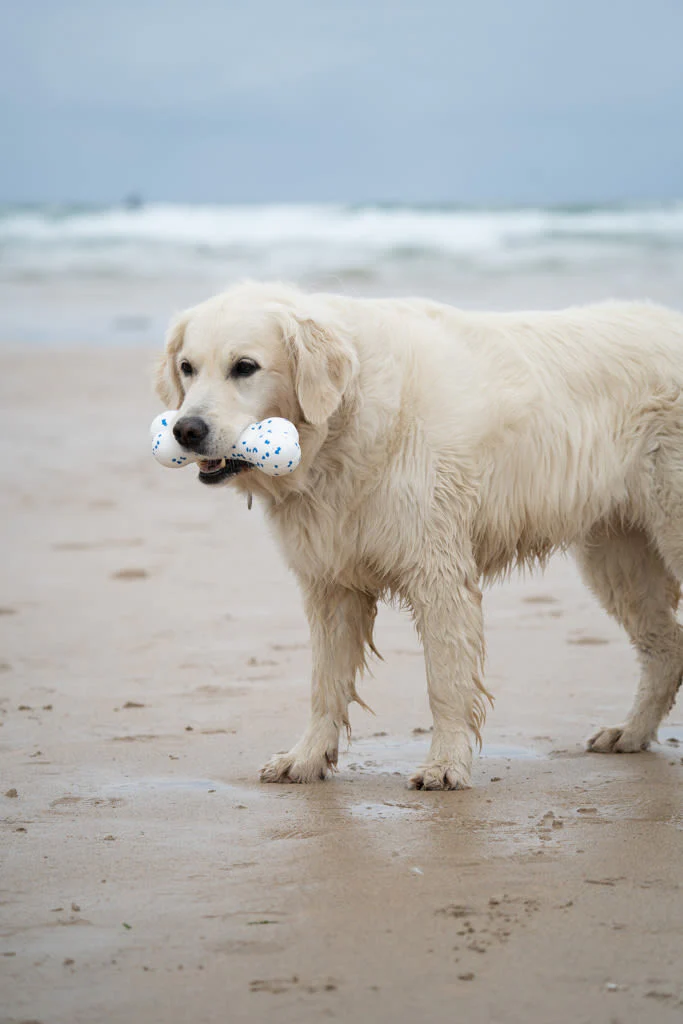 Petface Outdoor Paws Mighty White & Blue Bone Dog Toy - Image 7