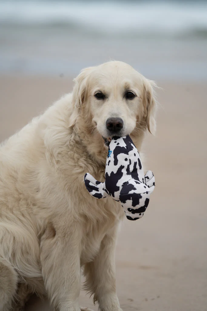 Petface Planet Ocean Cycle Sienna Seal Plush Black & White Dog Toy - Image 6