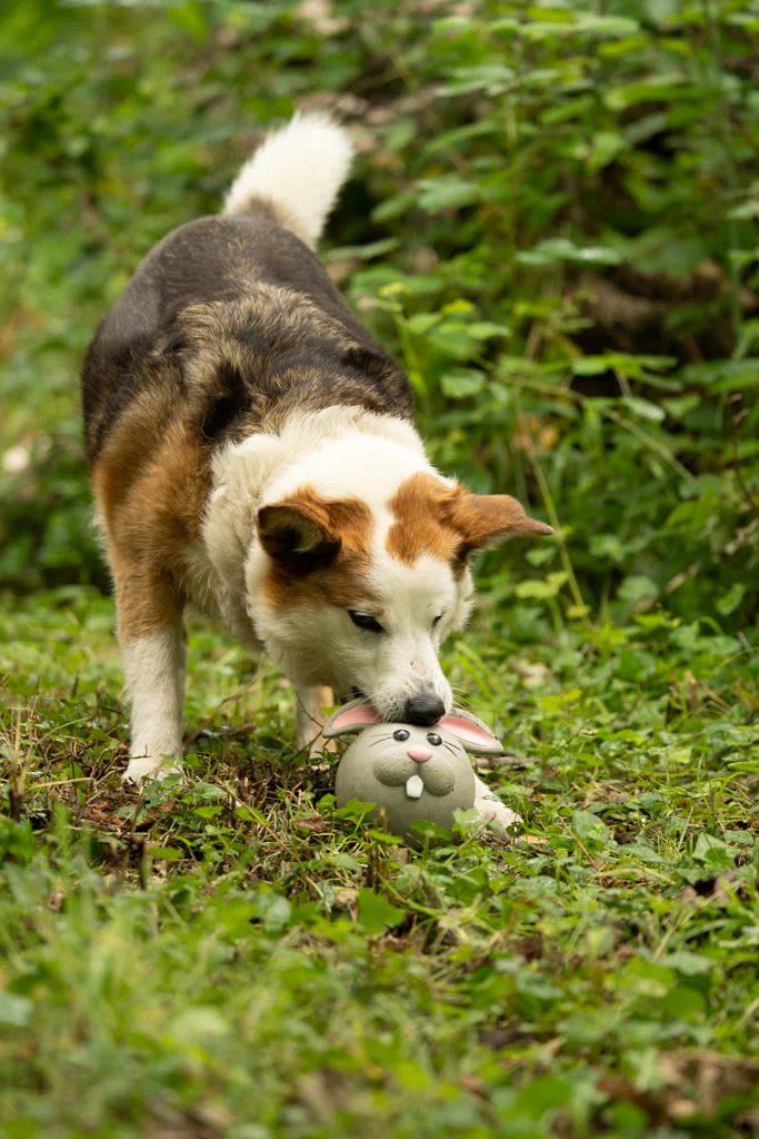 Petface Rico Rabbit Latex Grey Dog Toy - Image 6
