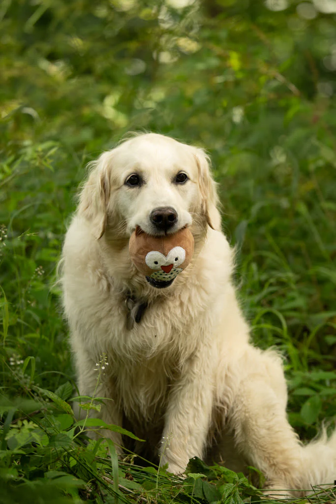 Petface Round Owl Plush Ball Brown Dog Toy - Image 5