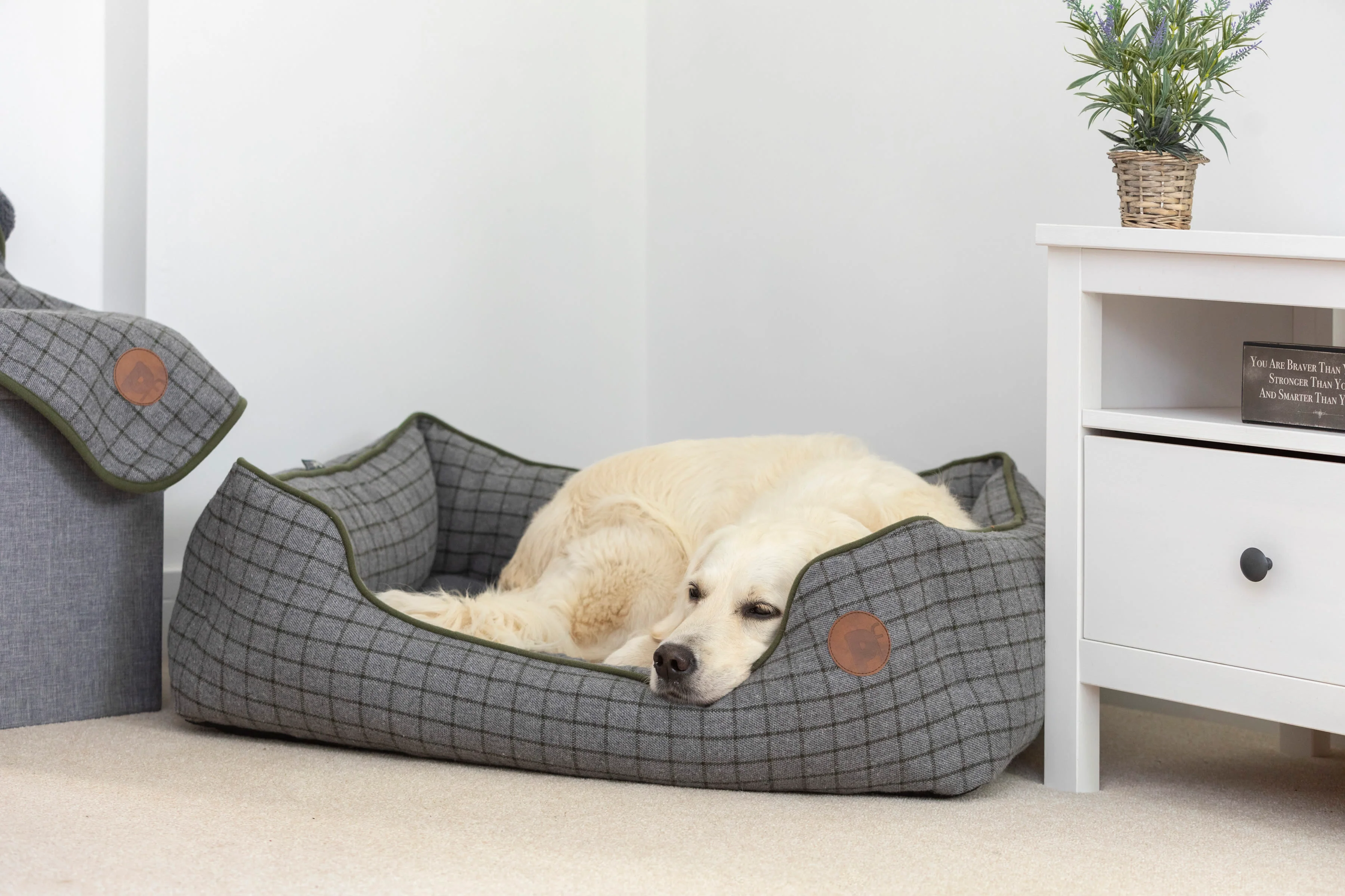 Petface Square Dog Bed - Moss Green - Image 5