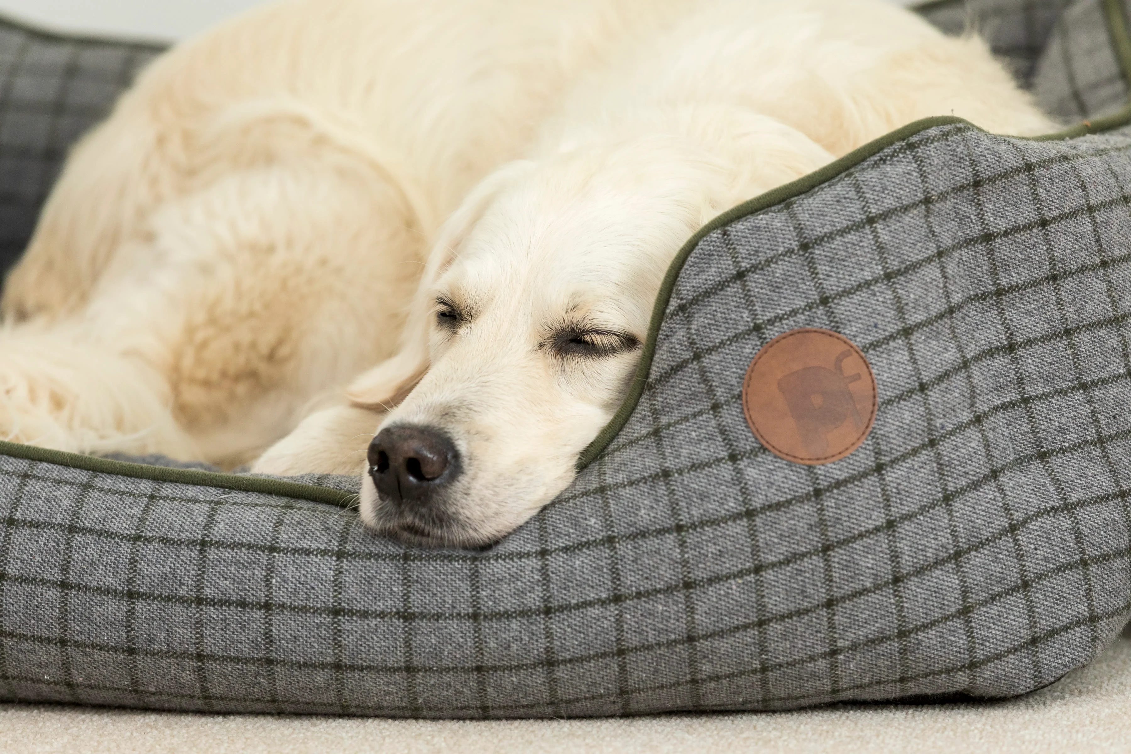 Petface Square Dog Bed - Moss Green - Image 6