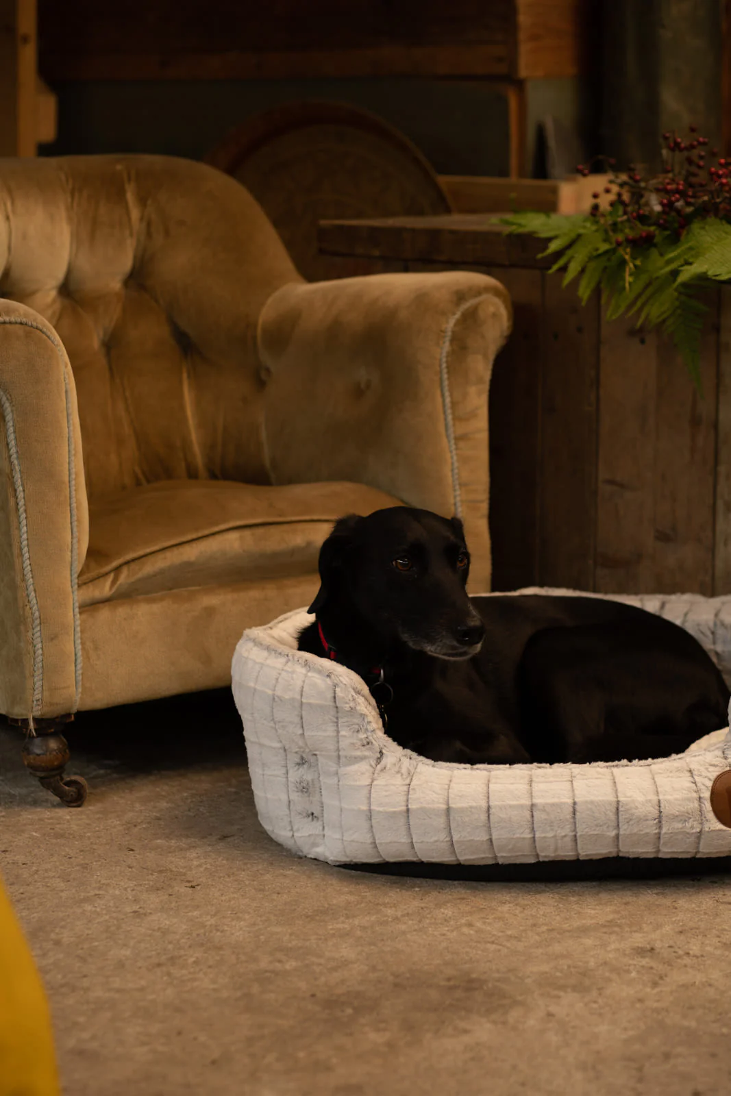 Petface White Plush Oval Medium Dog Bed - Image 4