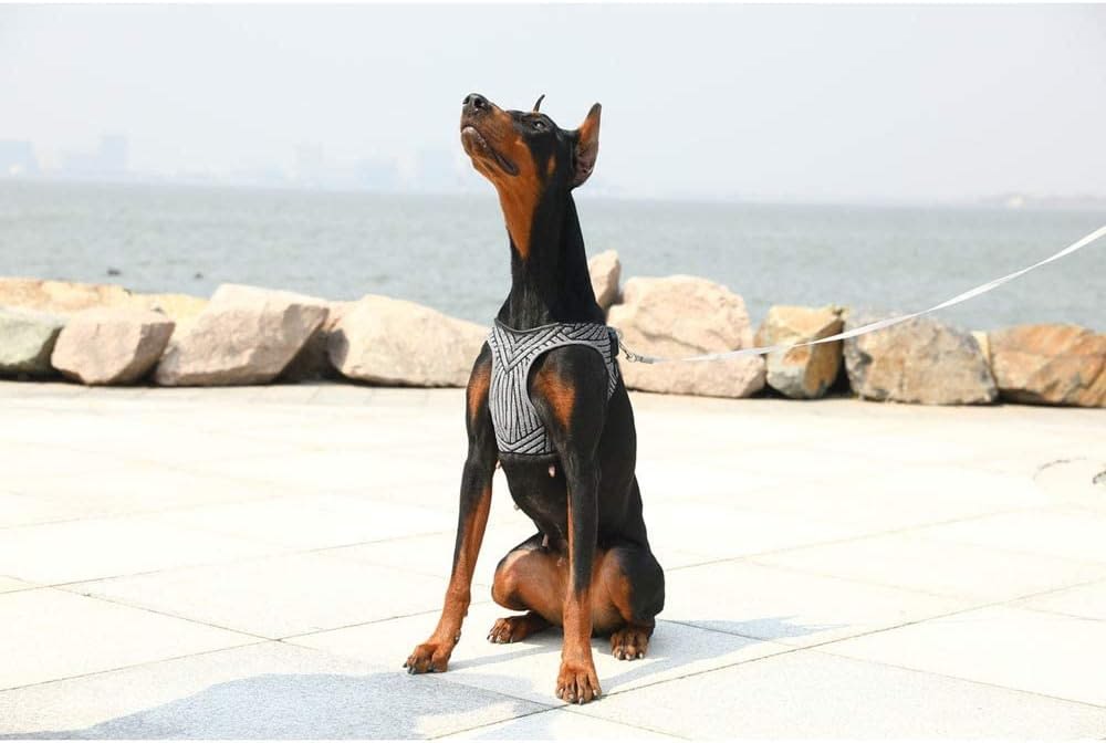 Petkit Air Fly Dog Harness - Image 2