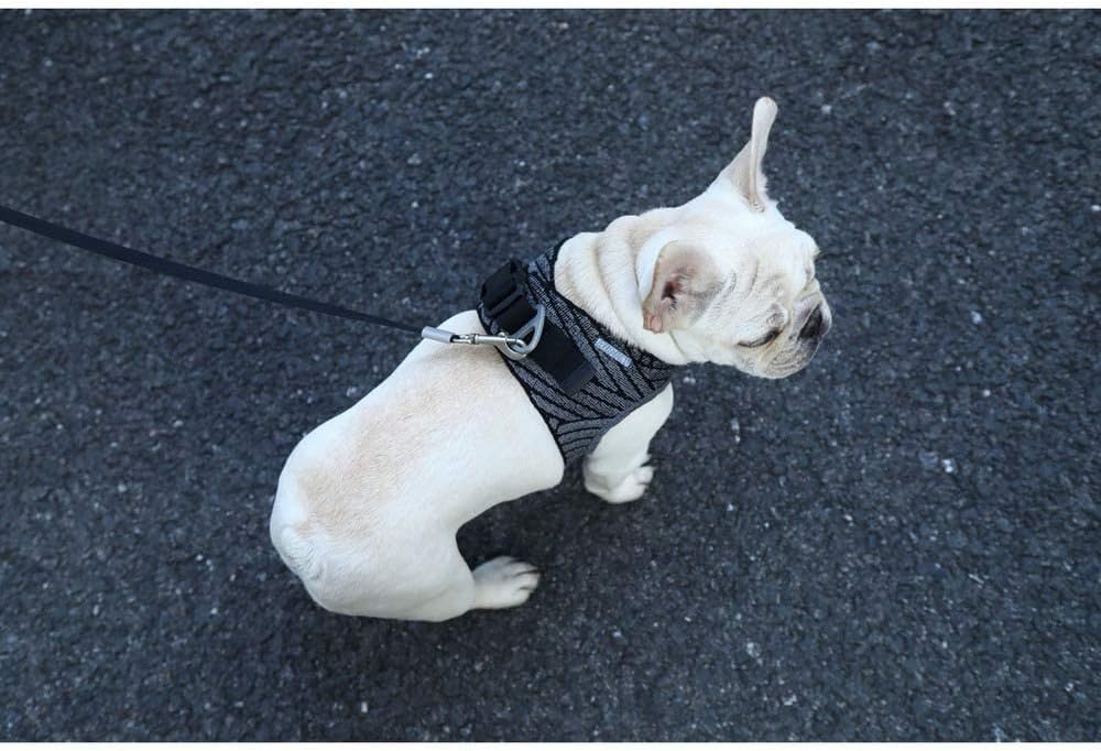 Petkit Air Fly Dog Harness - Image 3