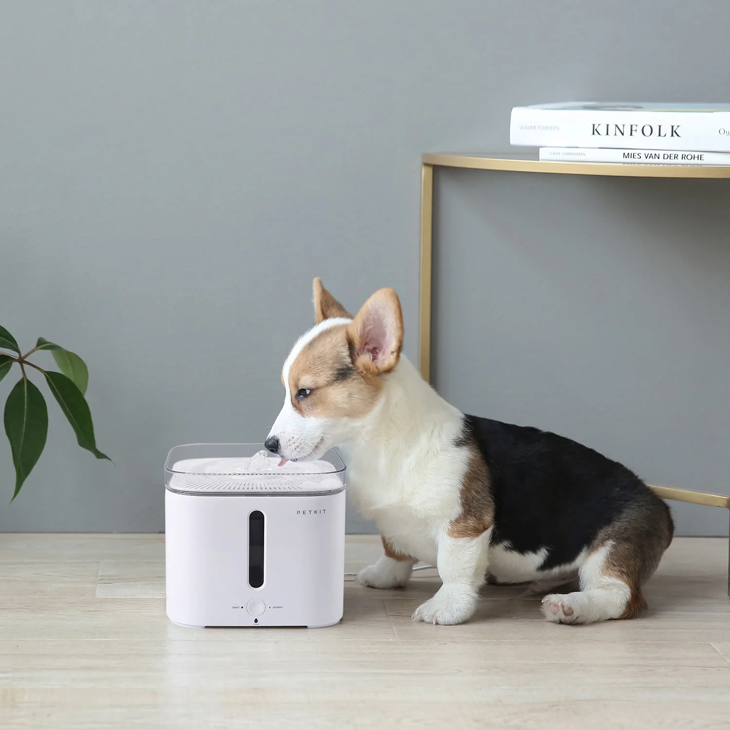 Petkit Eversweet G2 Cat & Dog Drinking Fountain - Image 2