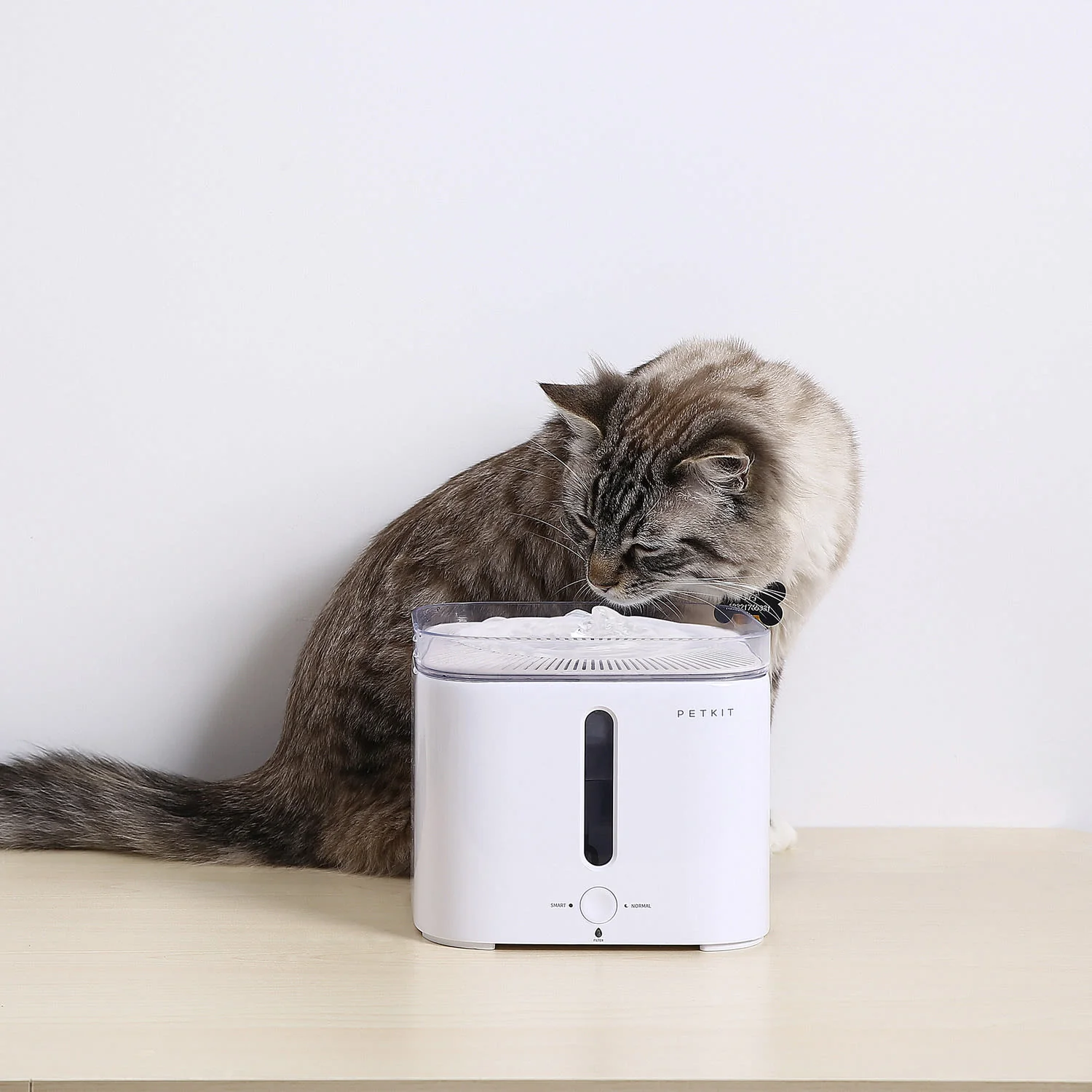 Petkit Eversweet G2 Cat & Dog Drinking Fountain - Image 4