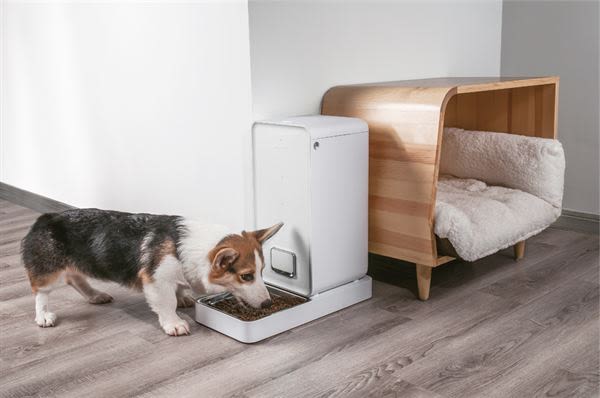 Petkit Fresh Blue Dog & Cat Automatic Feeder - Image 3