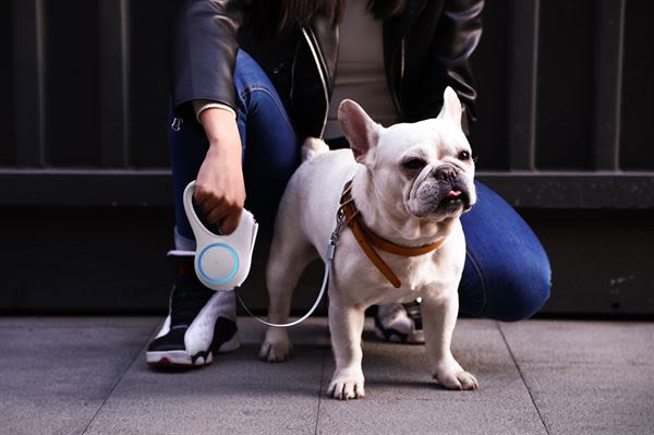 Petkit Go Shine Retractable Dog Lead - Image 5