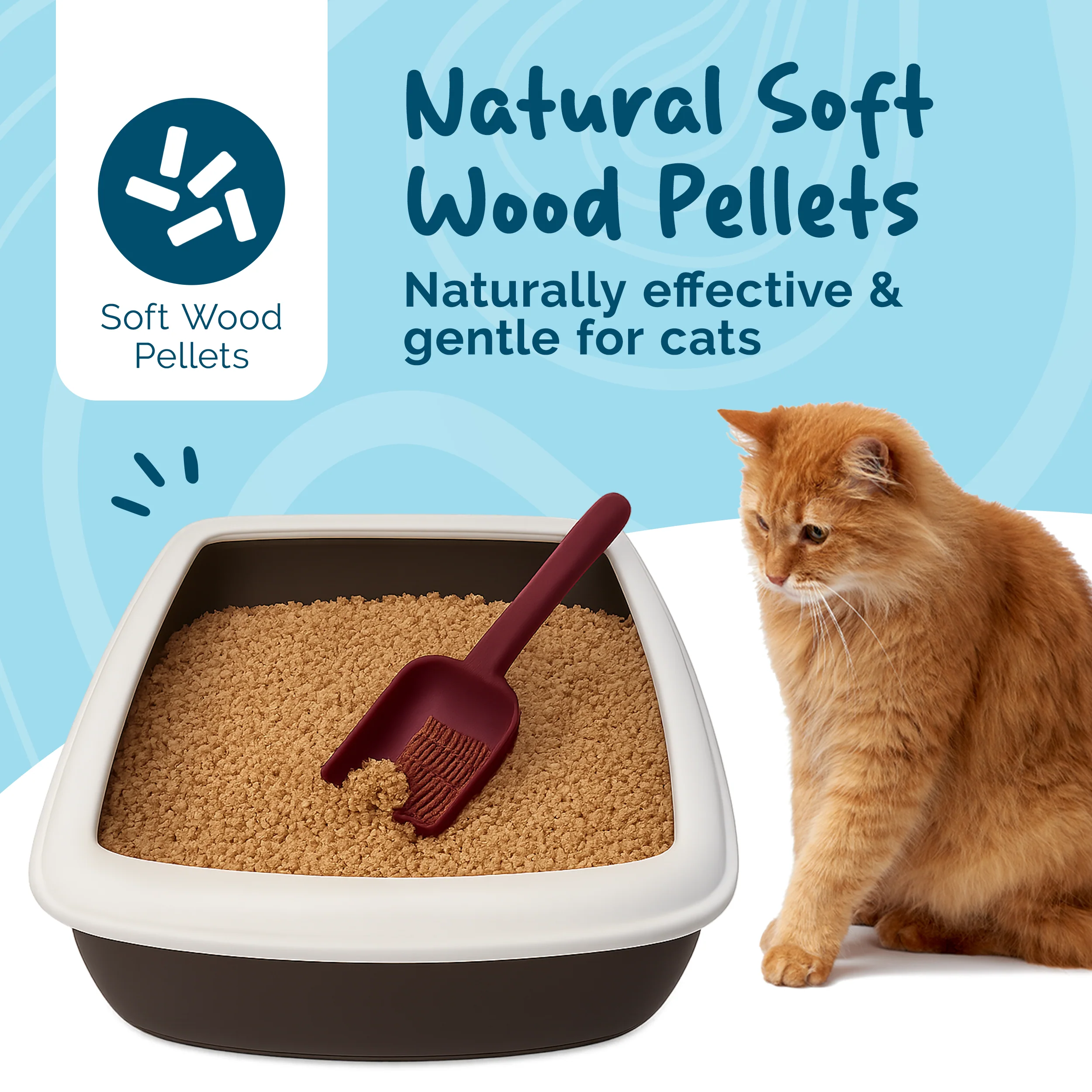 Petsentials Biodegradable Wood Based Pine Scent Cat Litter - Image 2