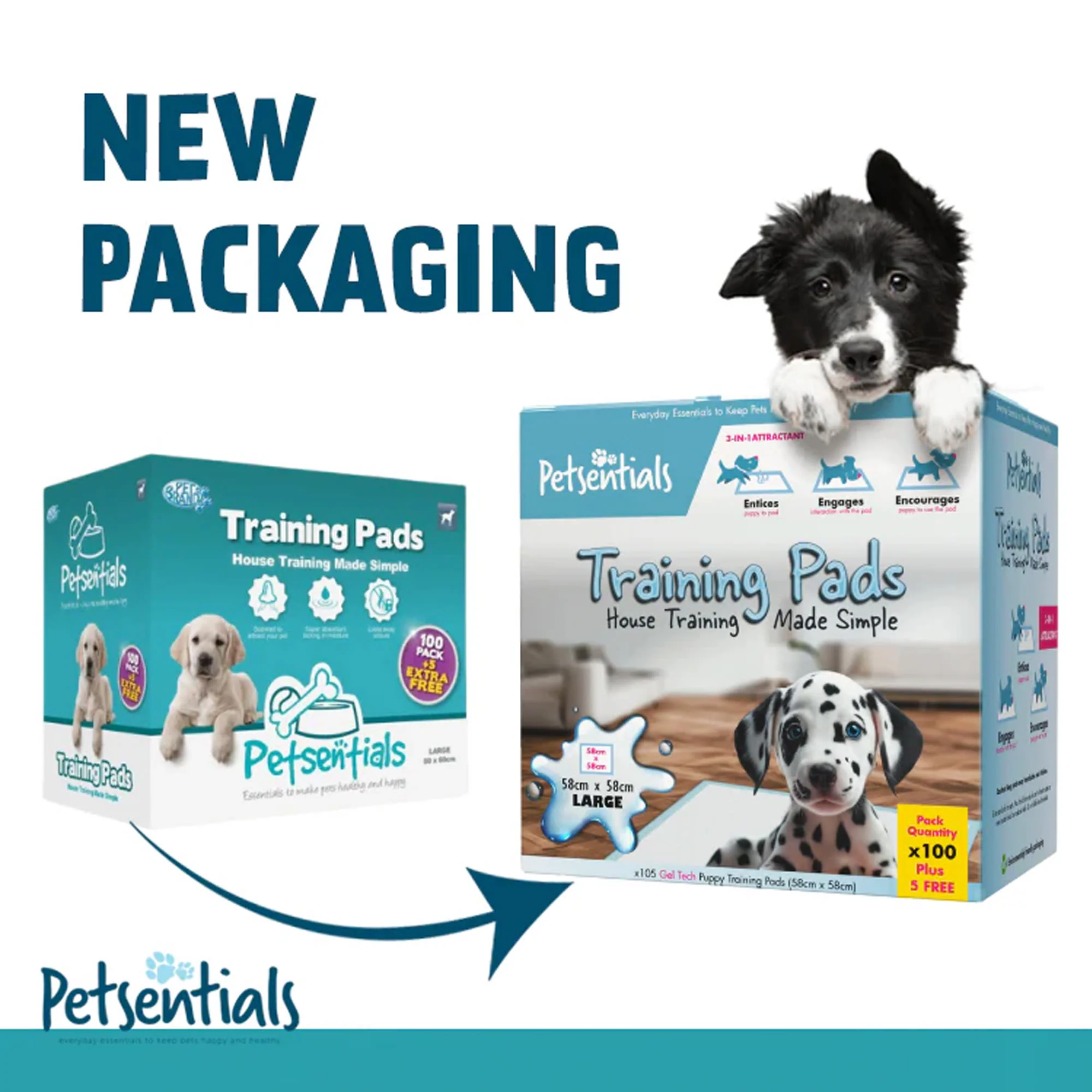 Petsentials Scented Puppy Dog Training Pads - Image 3