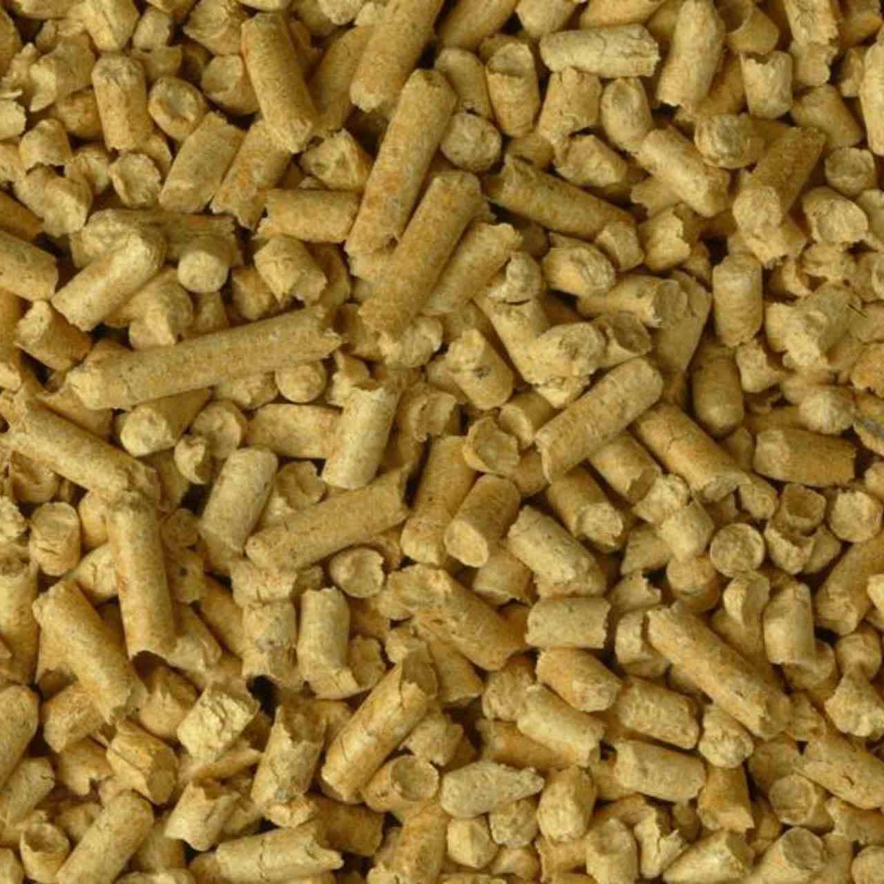 Pettex Pampuss Natural Wood Litter - Image 2