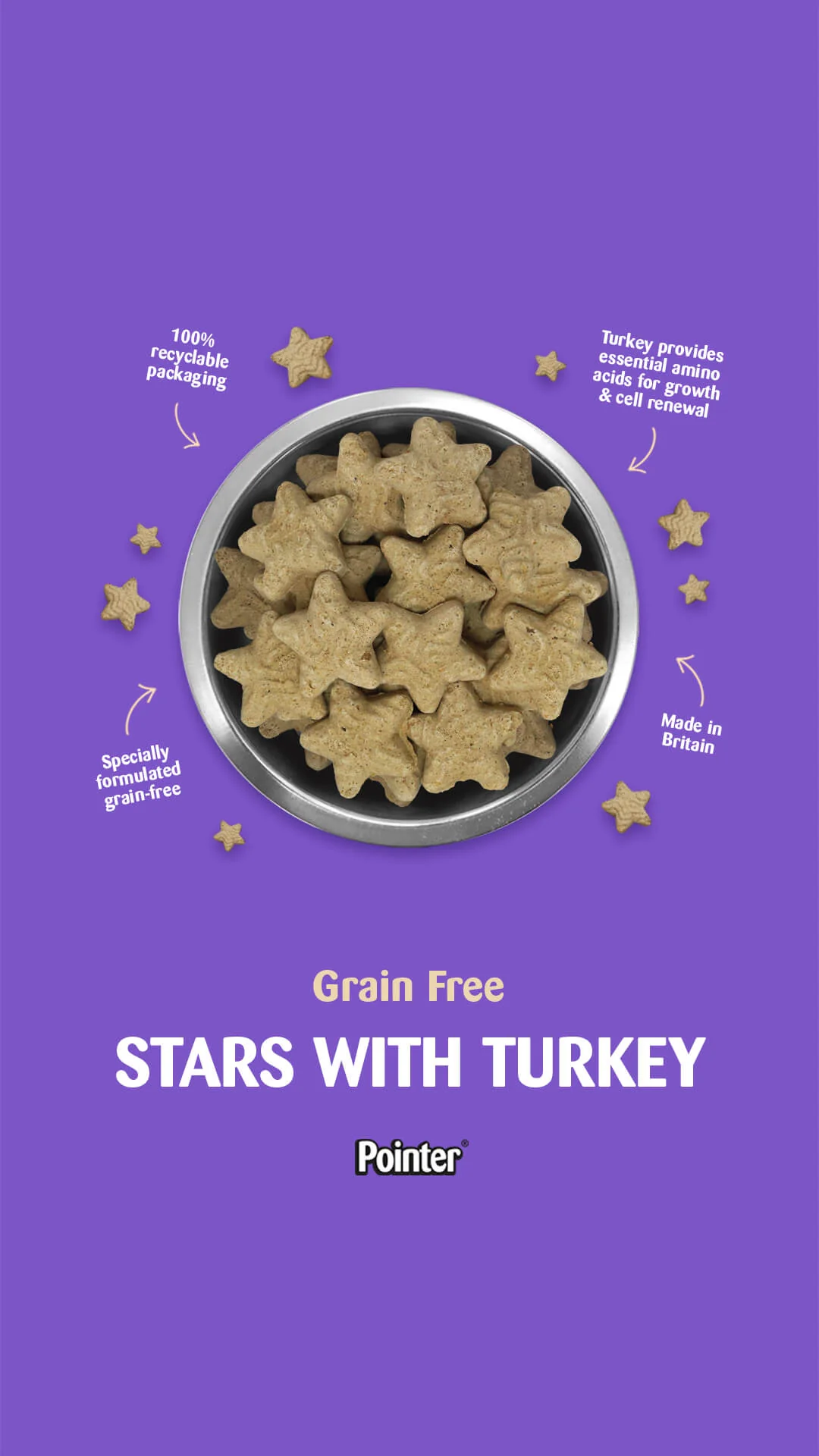 Pointer Grain Free Crunchy Turkey Stars Dog Treats - Image 2