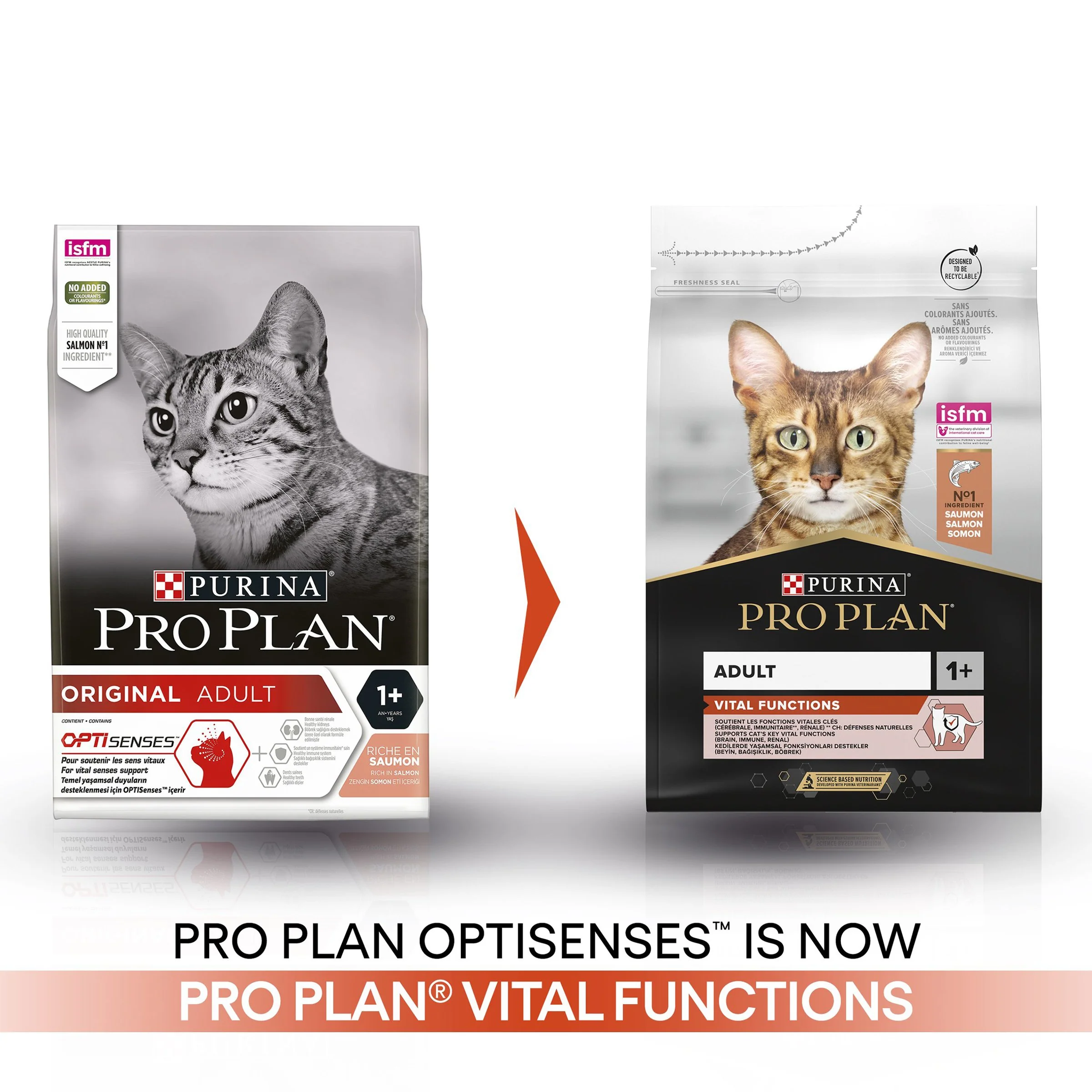 Pro Plan 1+ Vital Functions Rich in Salmon Adult Dry Cat Food - Image 2