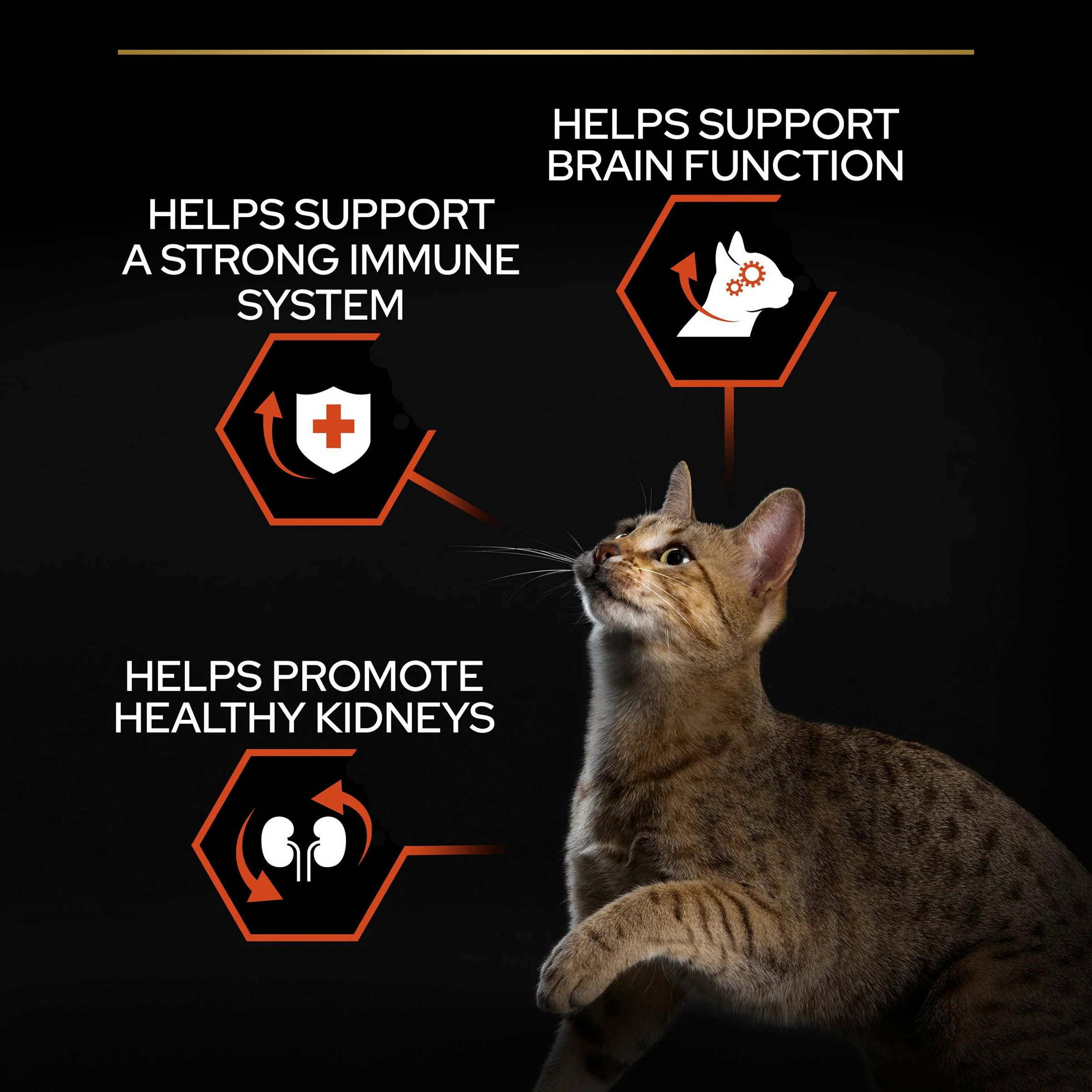 Pro Plan 1+ Vital Functions Rich in Salmon Adult Dry Cat Food - Image 7