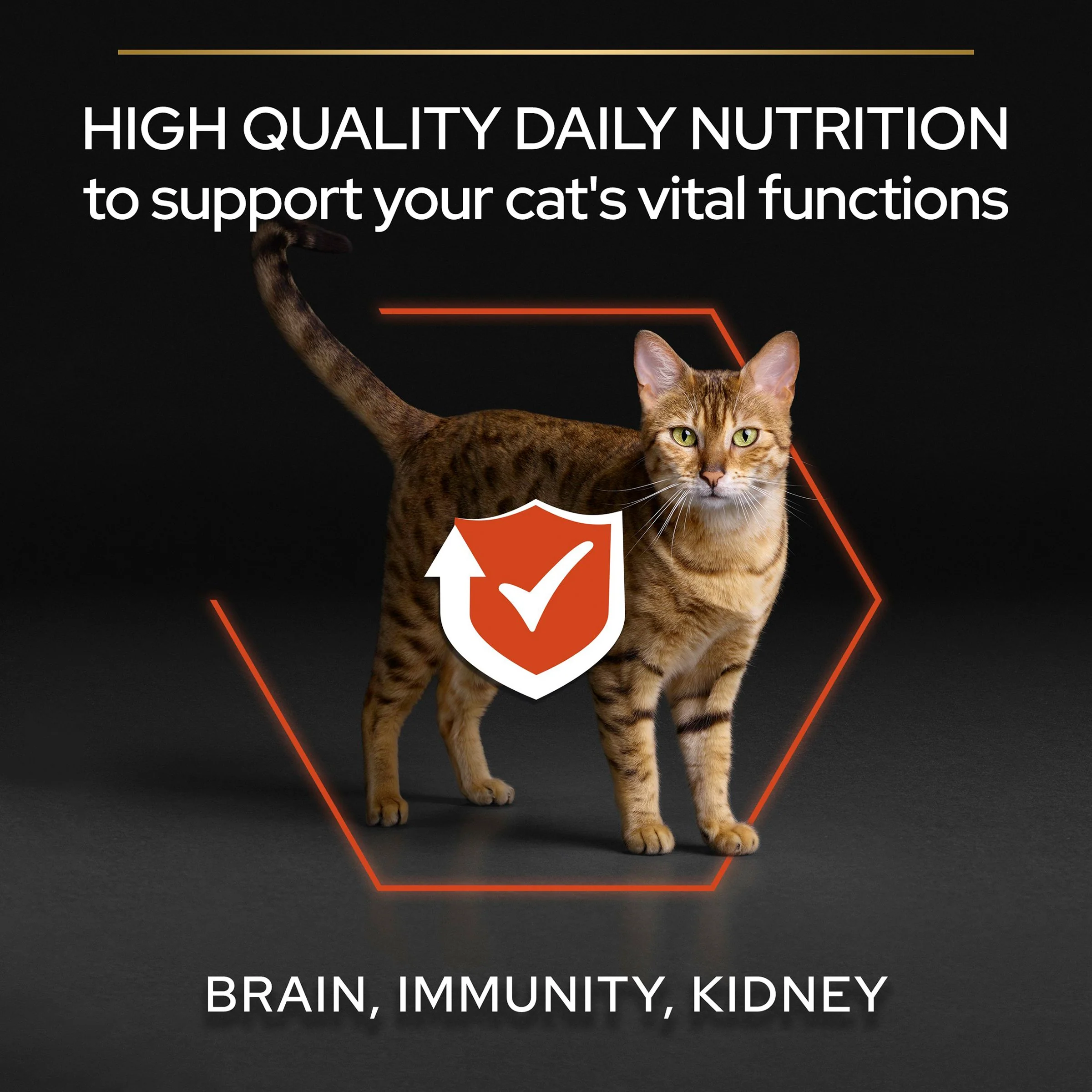Pro Plan 1+ Vital Functions Rich in Salmon Adult Dry Cat Food - Image 9