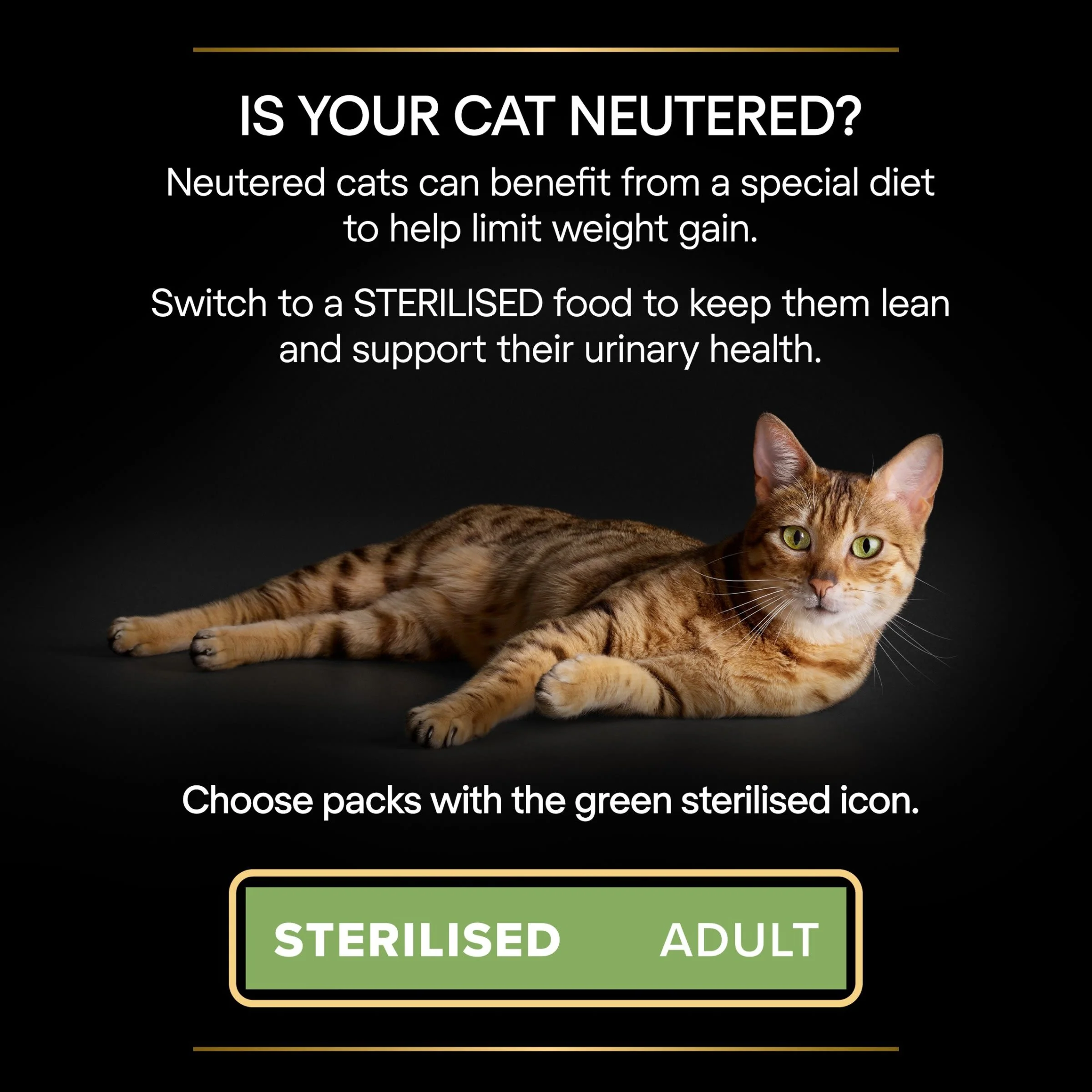 Pro Plan Sterilised Maintenance Duck in Gravy Wet Cat Food - Image 3
