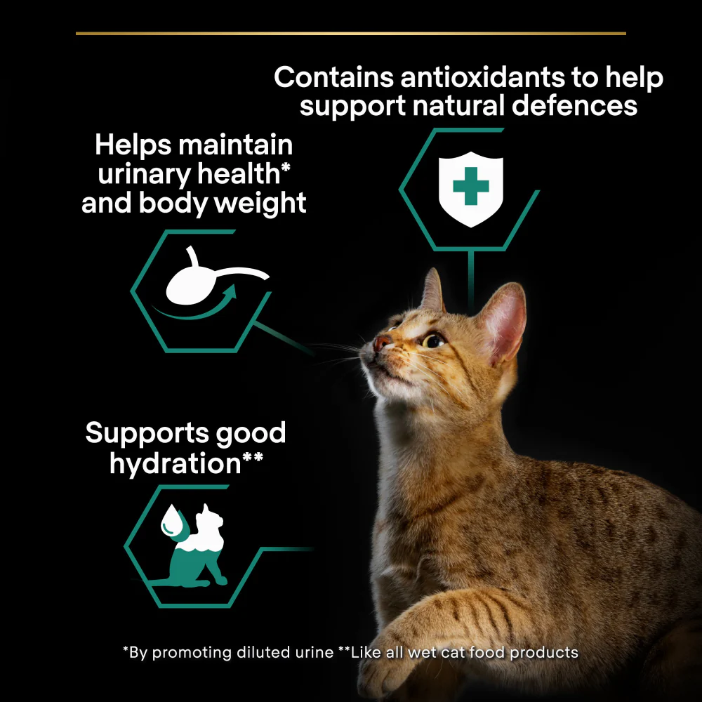 Pro Plan Sterilised Turkey in Jelly Adult Wet Cat Food - Image 8